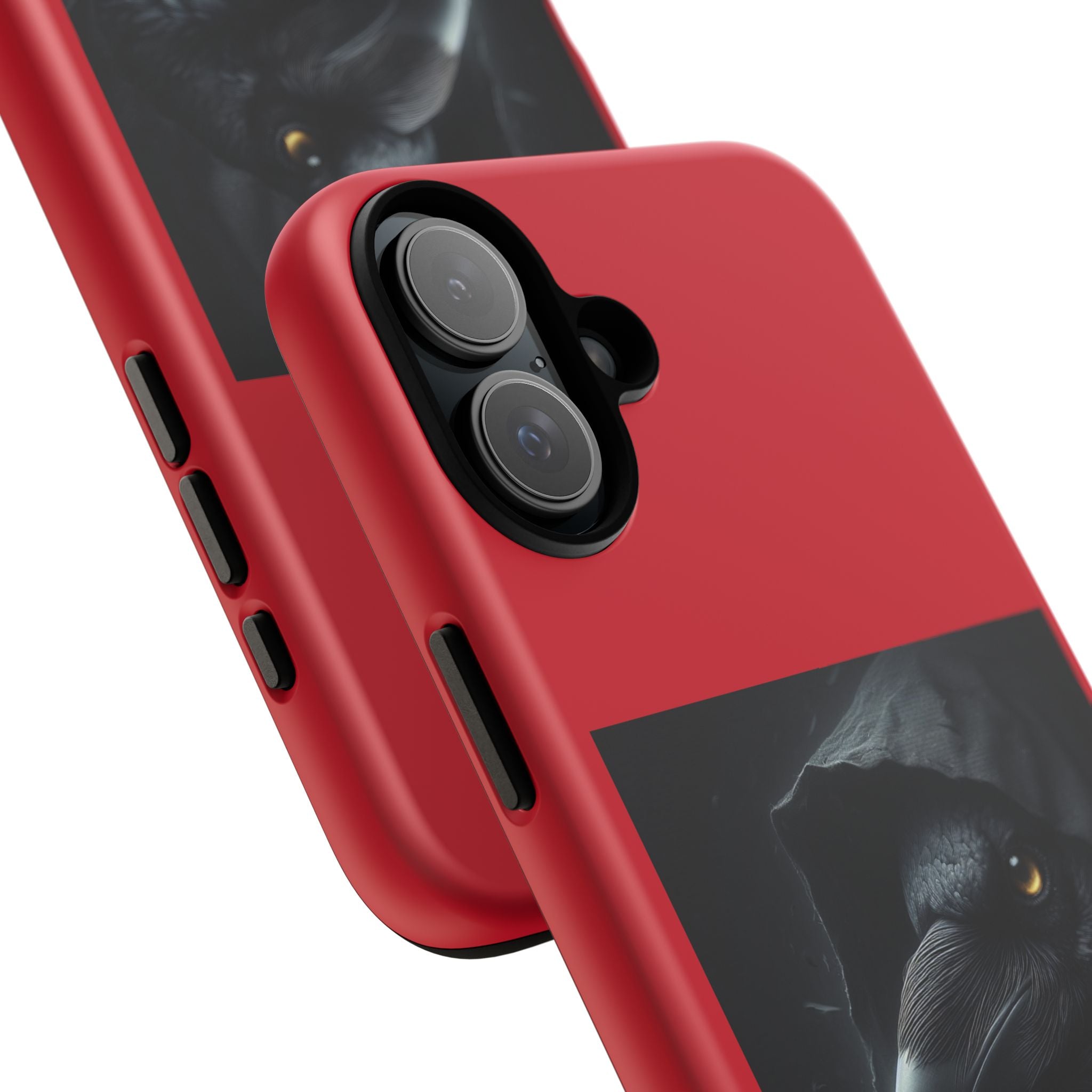 The Raven King Cases
