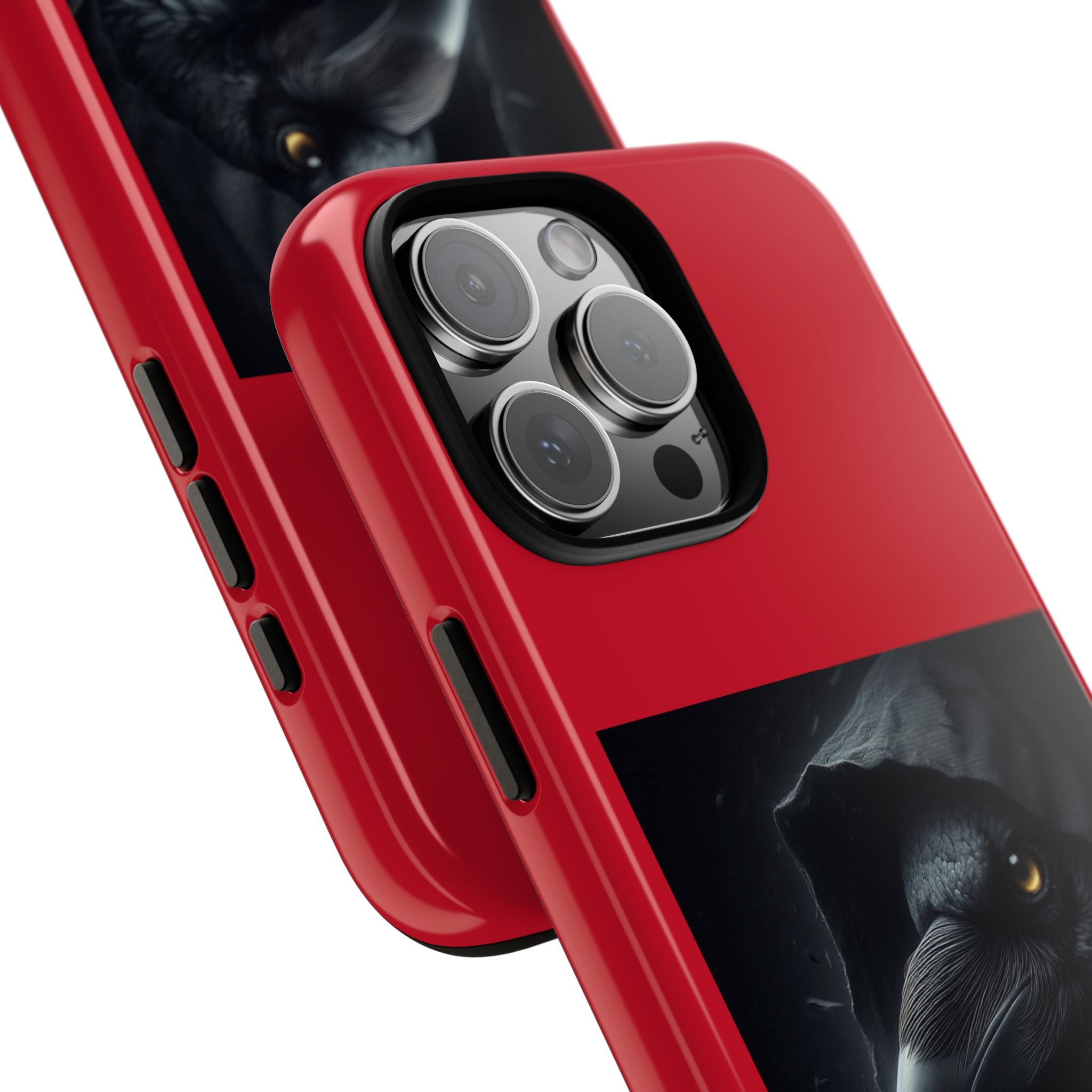 The Raven King Cases