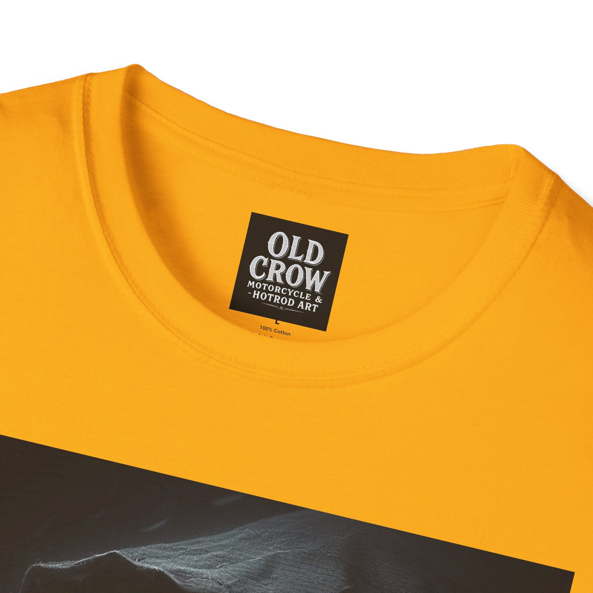 Mystical Crow in Hood T-Shirt