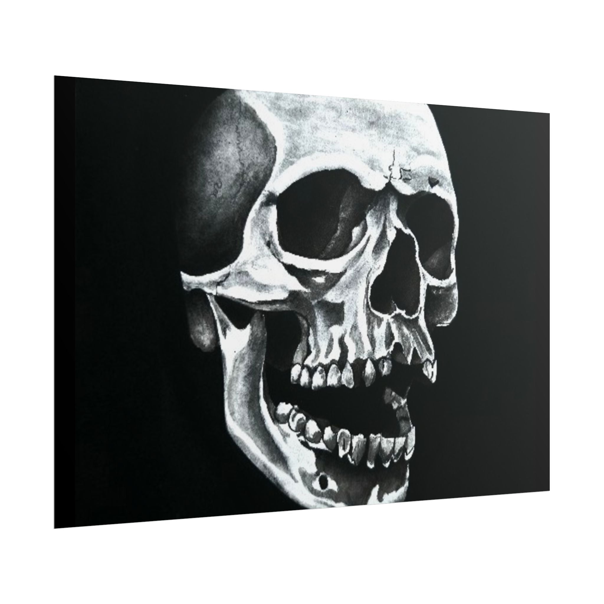Skull Art Rolled Posters