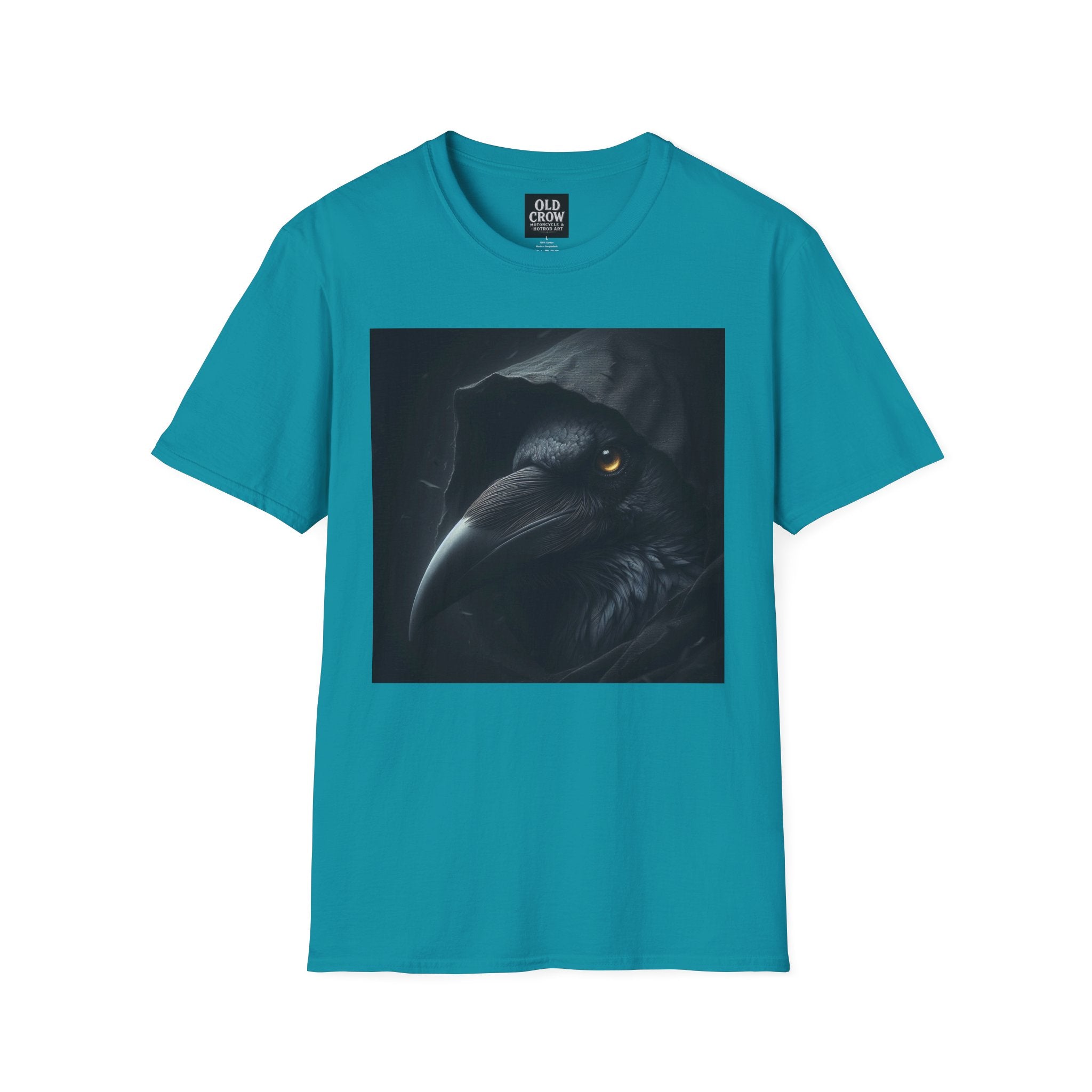 Mystical Crow in Hood T-Shirt