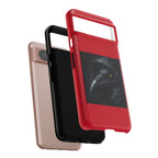The Raven King Cases