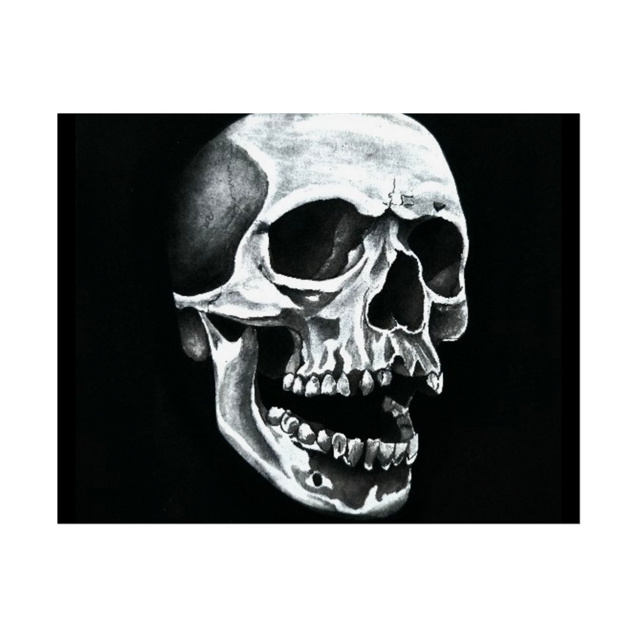 Skull Art Rolled Posters