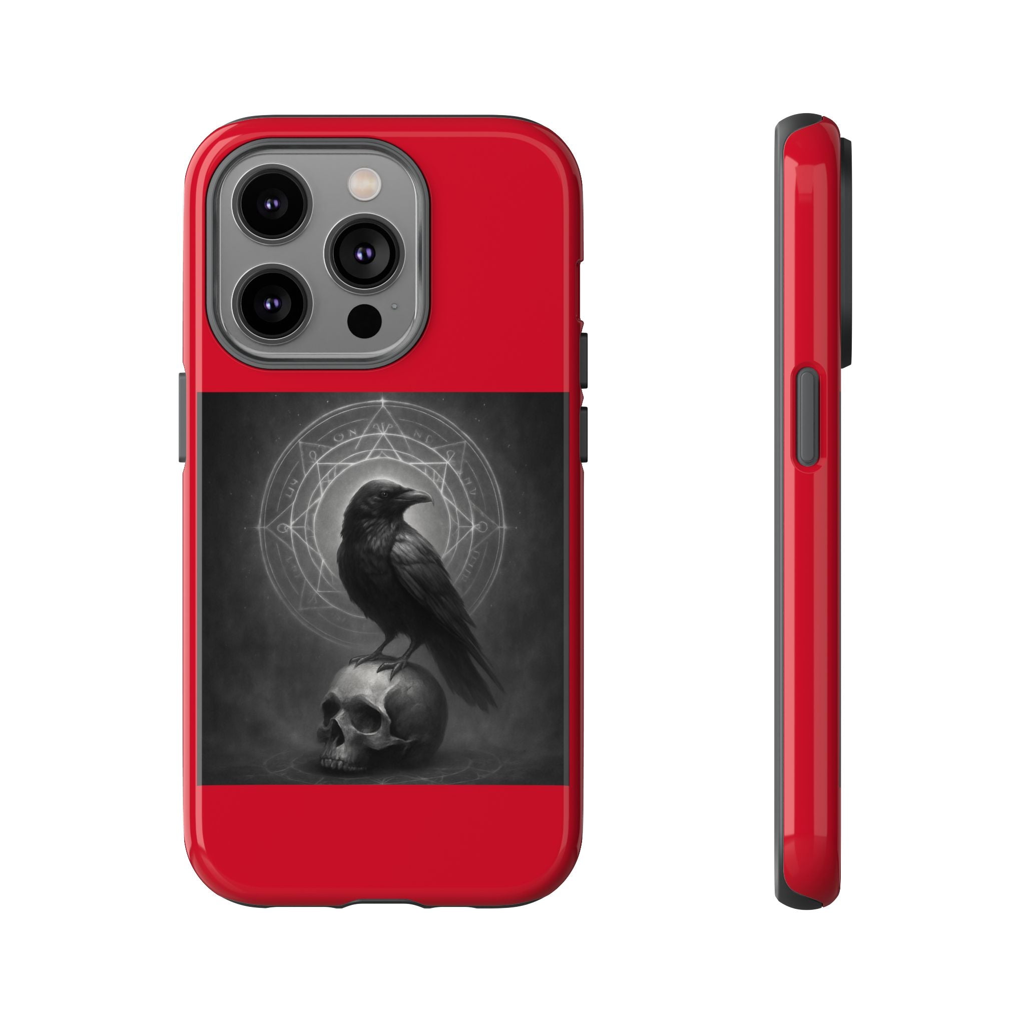 Occult Raven Sigil & Skull Art Cases