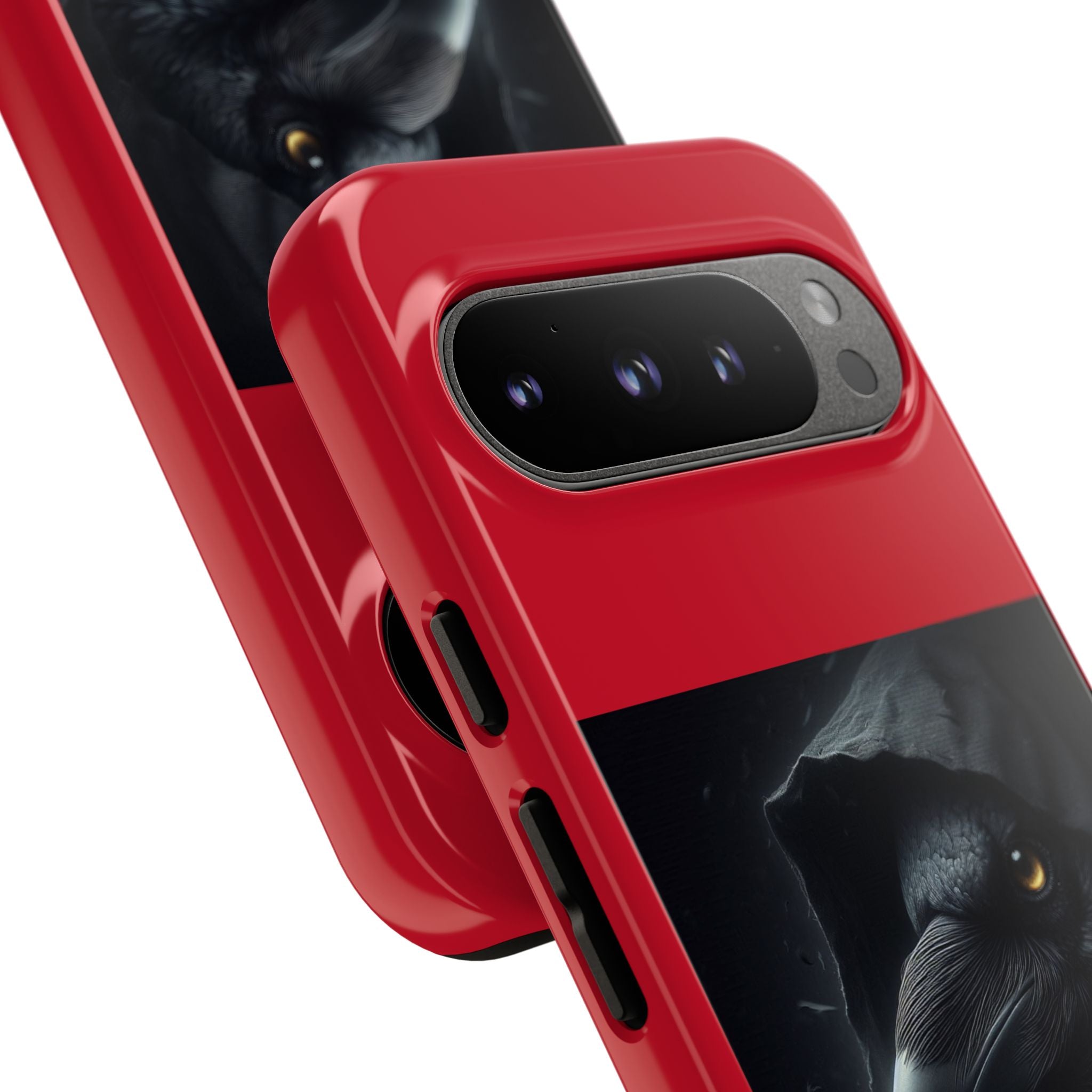 The Raven King Cases