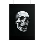Skull Art Rolled Posters