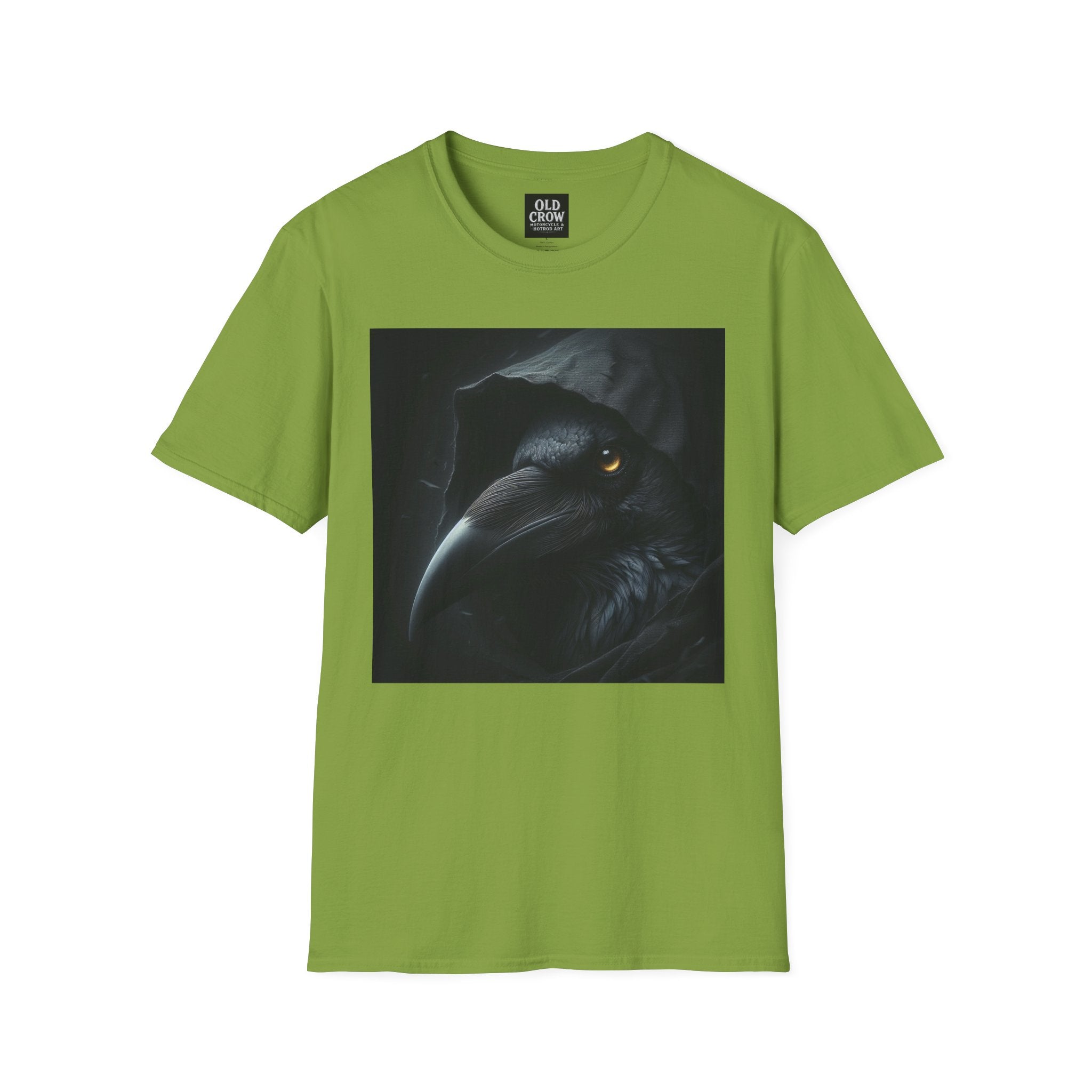 Mystical Crow in Hood T-Shirt