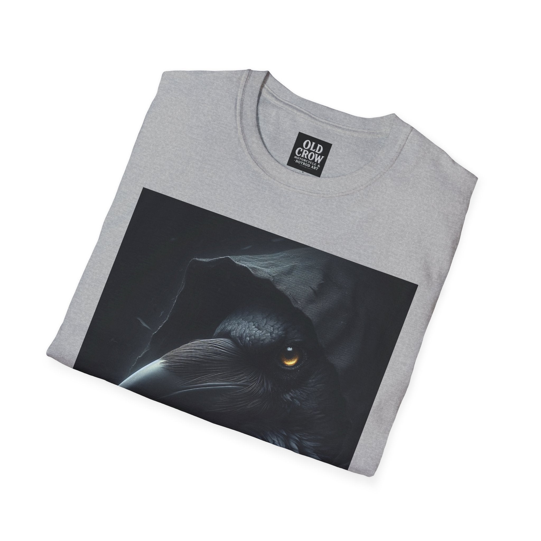 Mystical Crow in Hood T-Shirt
