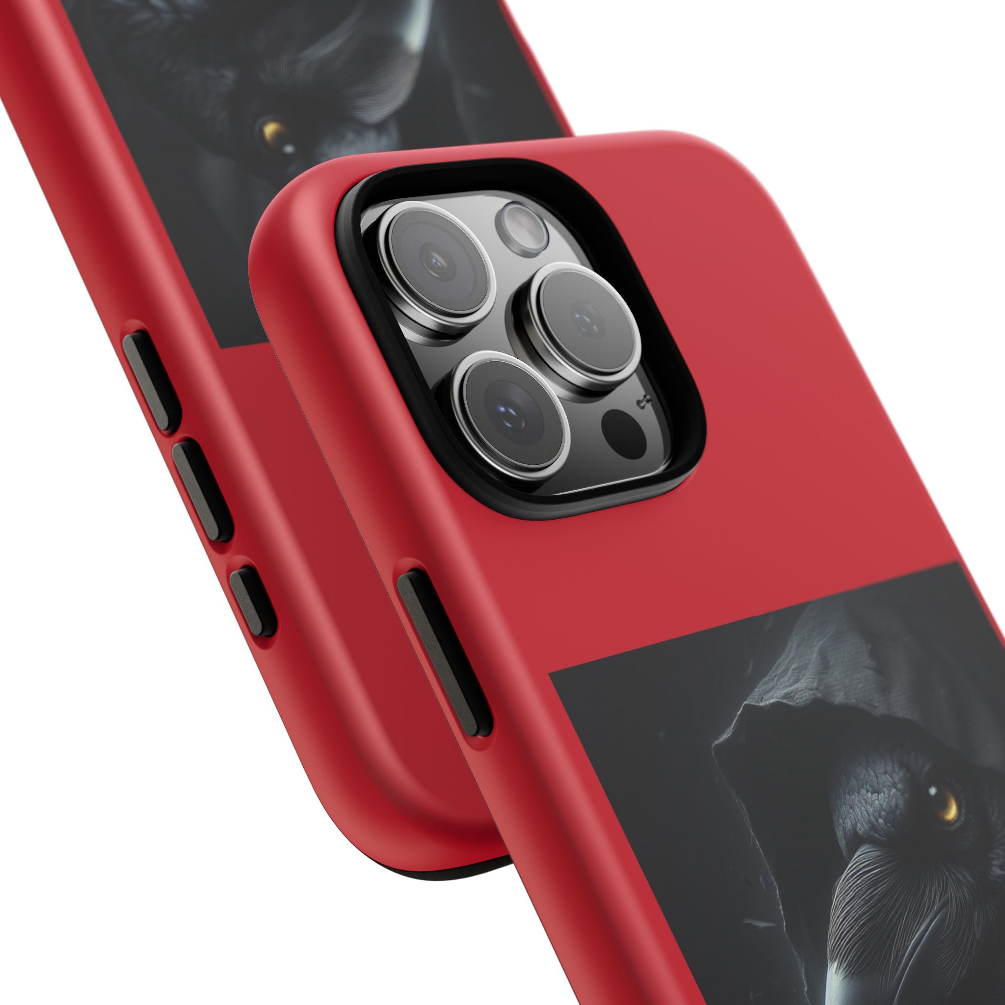 The Raven King Cases