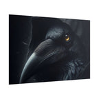 Dark Raven Hooded Rolled Poster