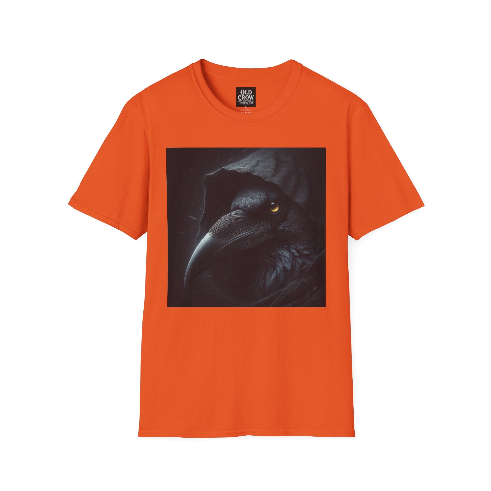 Mystical Crow in Hood T-Shirt
