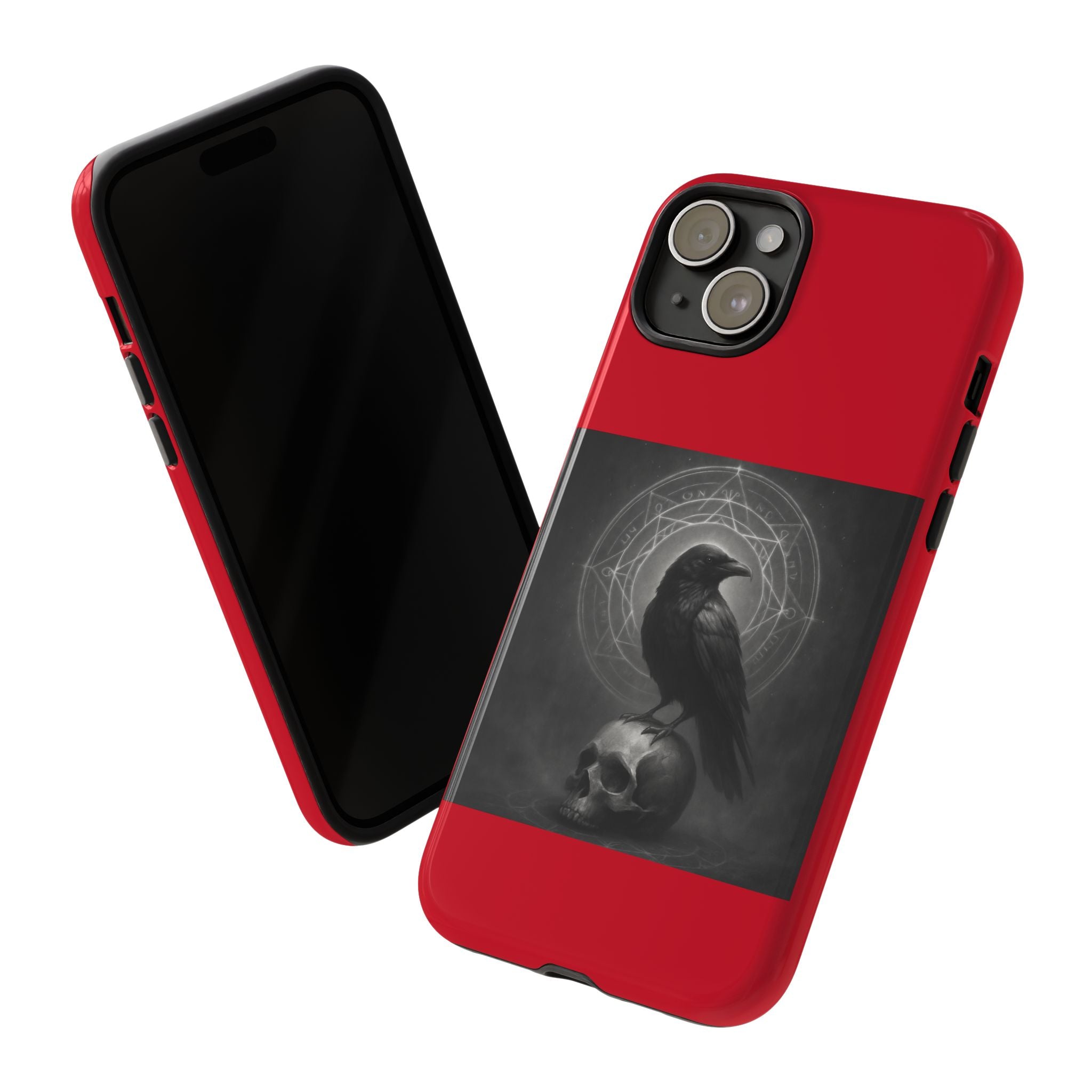 Occult Raven Sigil & Skull Art Cases