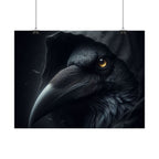 Dark Raven Hooded Rolled Poster