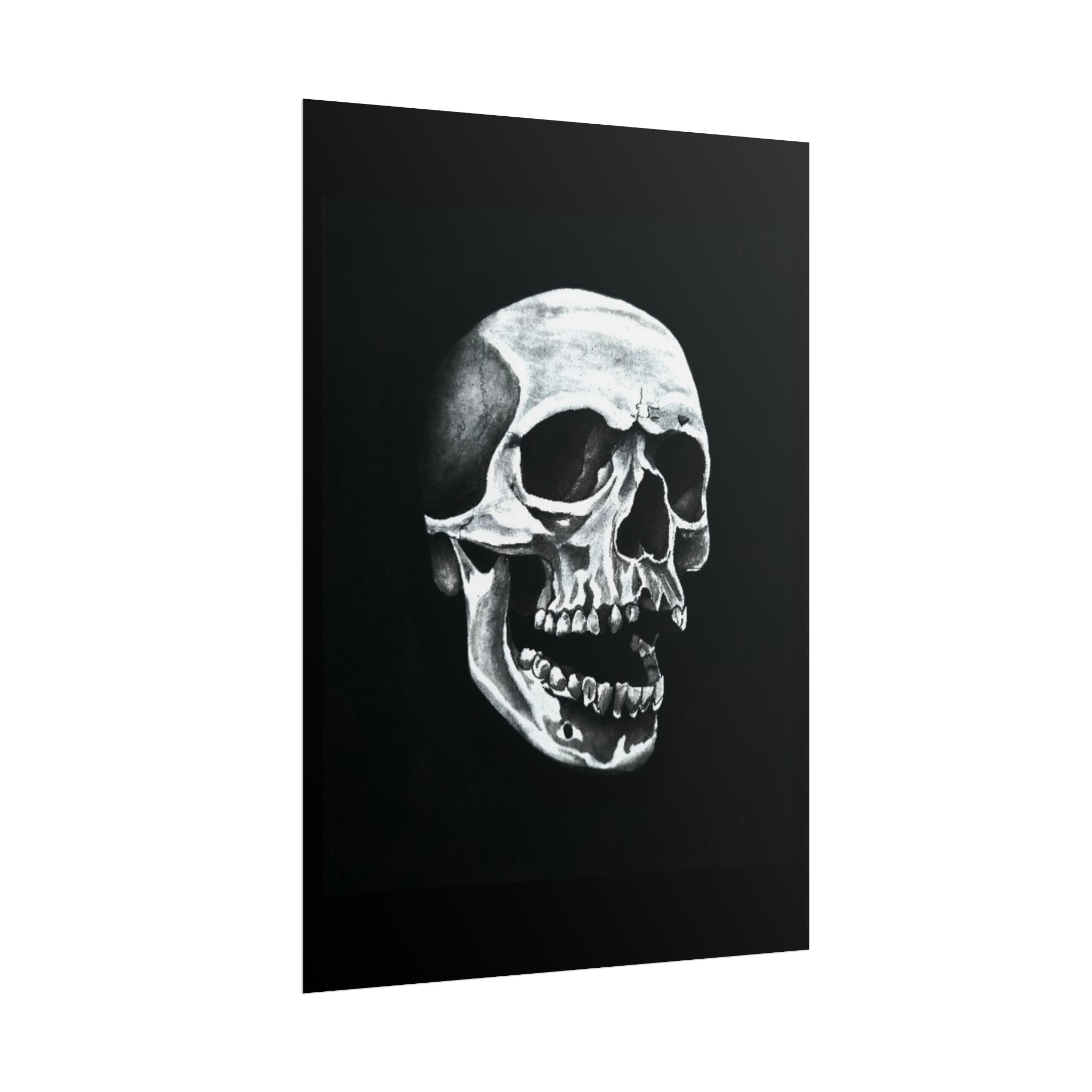 Skull Art Rolled Posters
