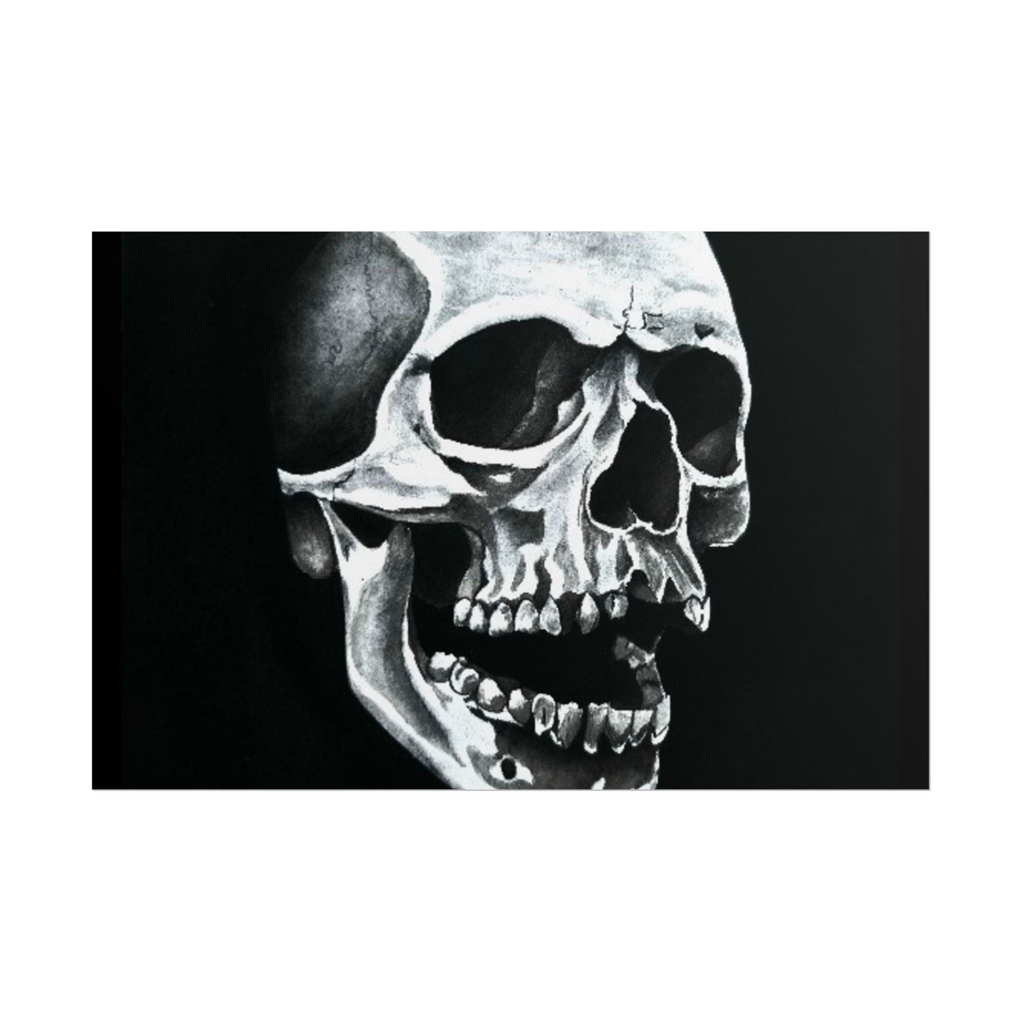 Skull Art Rolled Posters