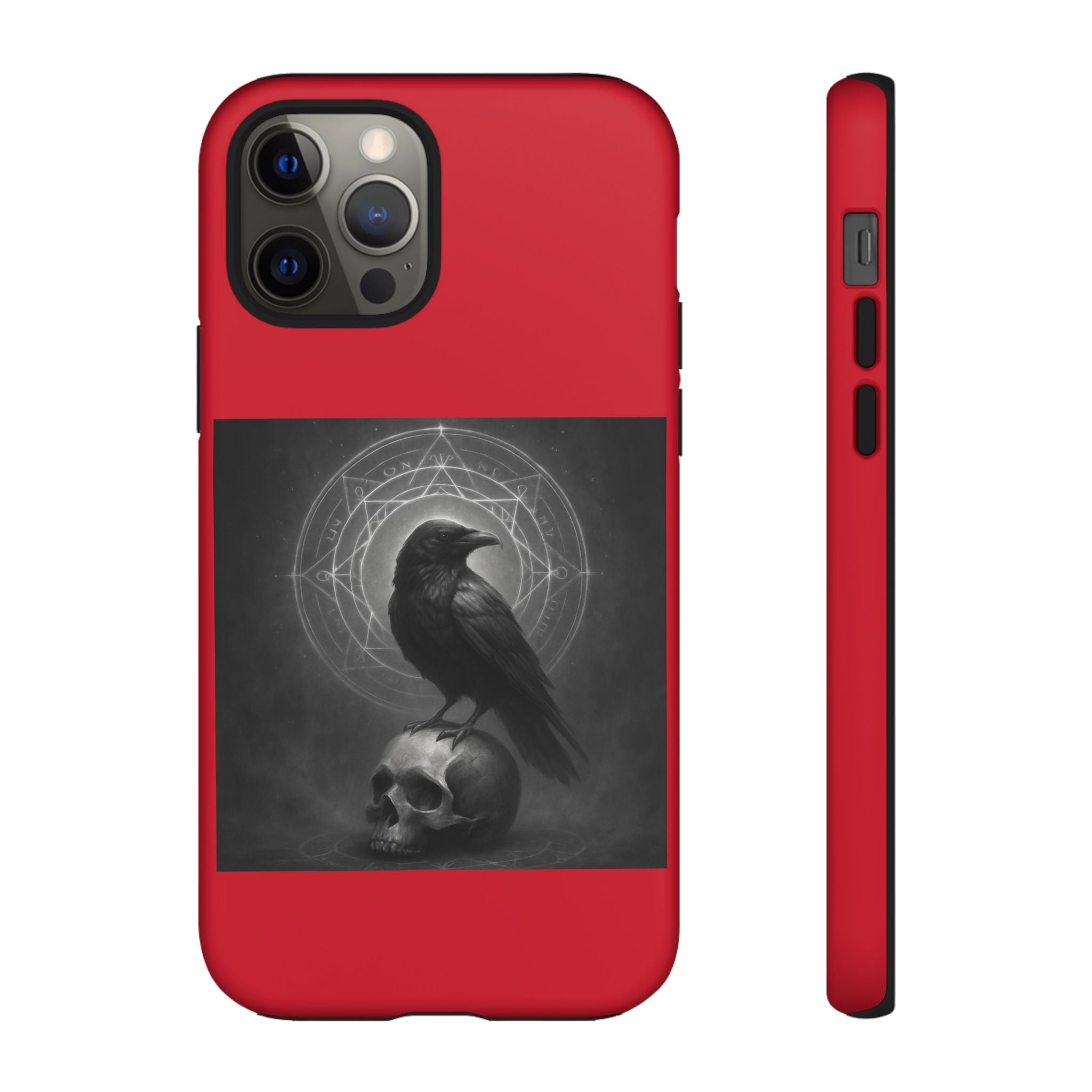 Occult Raven Sigil & Skull Art Cases