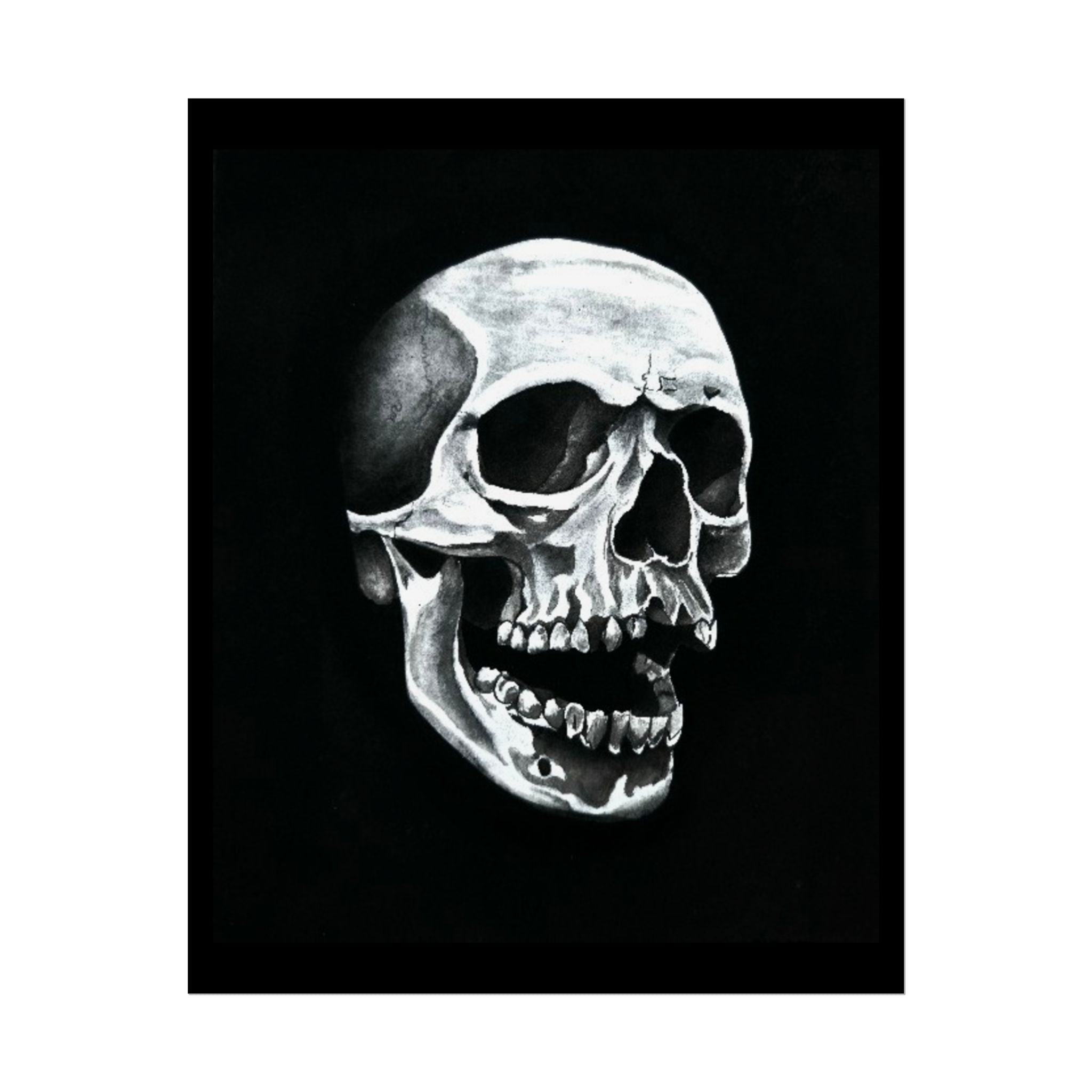 Skull Art Rolled Posters