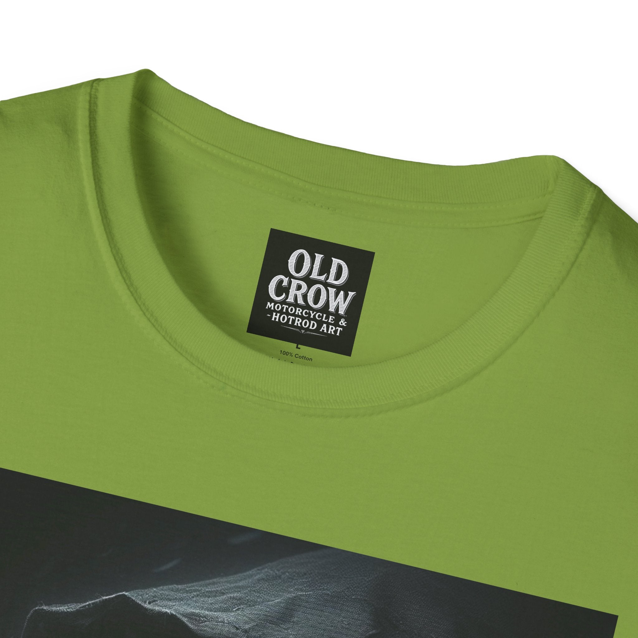 Mystical Crow in Hood T-Shirt