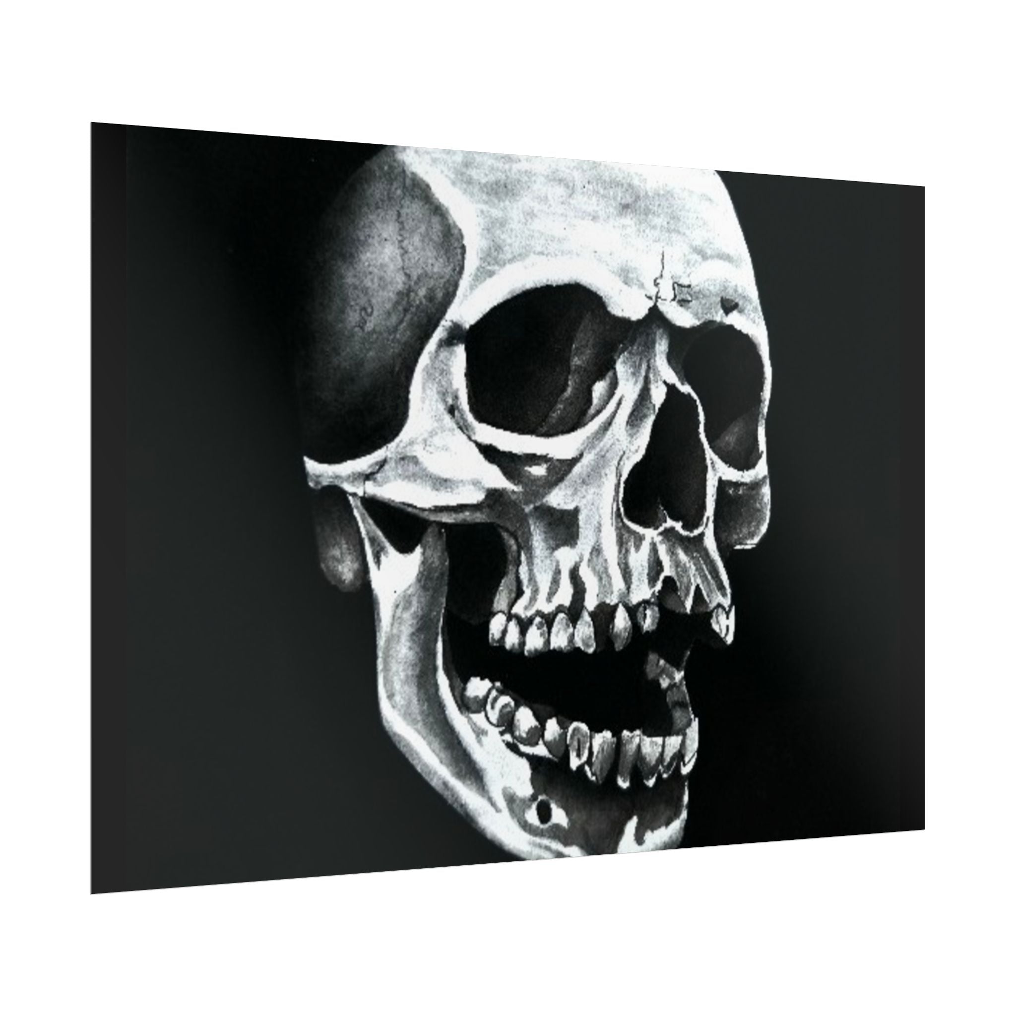 Skull Art Rolled Posters