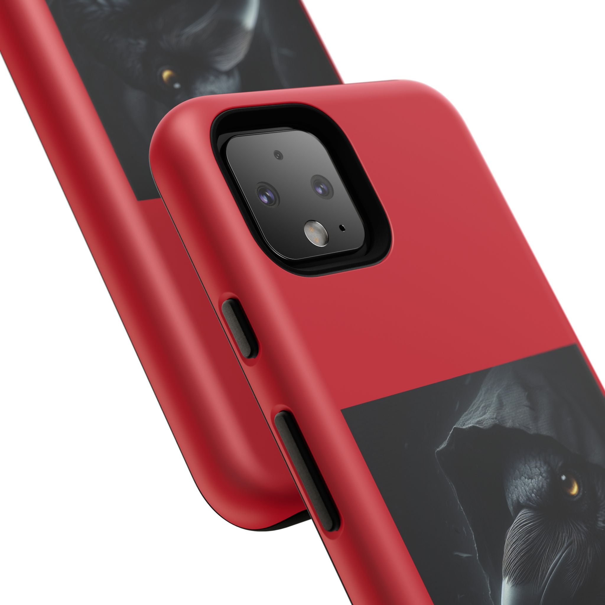 The Raven King Cases