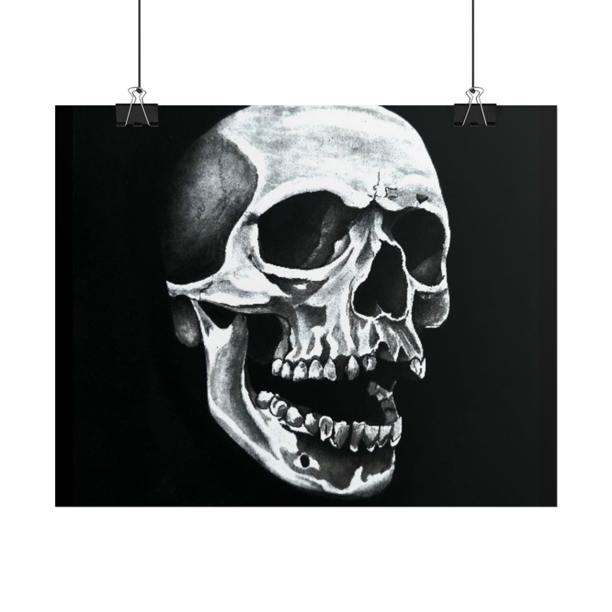 Skull Art Rolled Posters