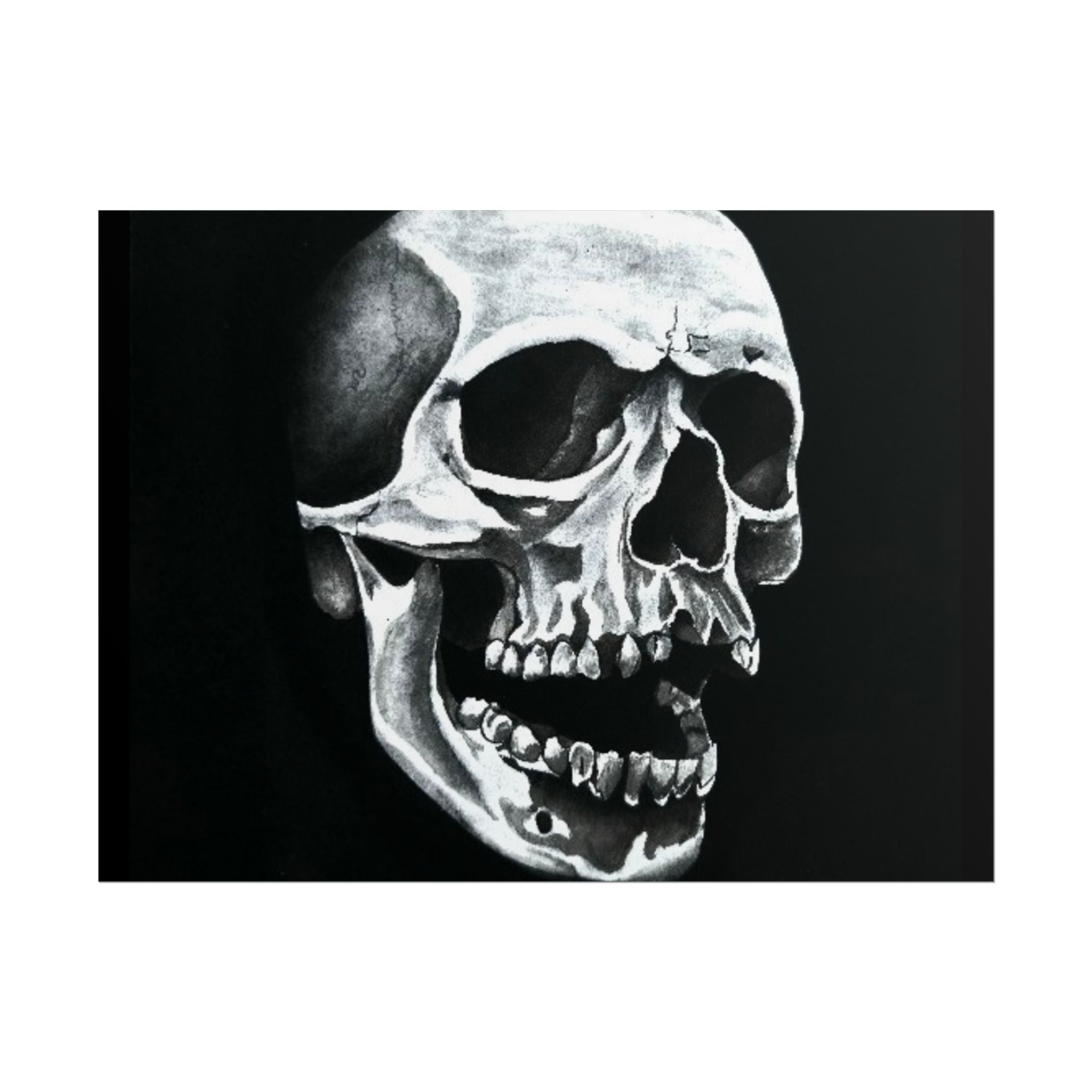 Skull Art Rolled Posters