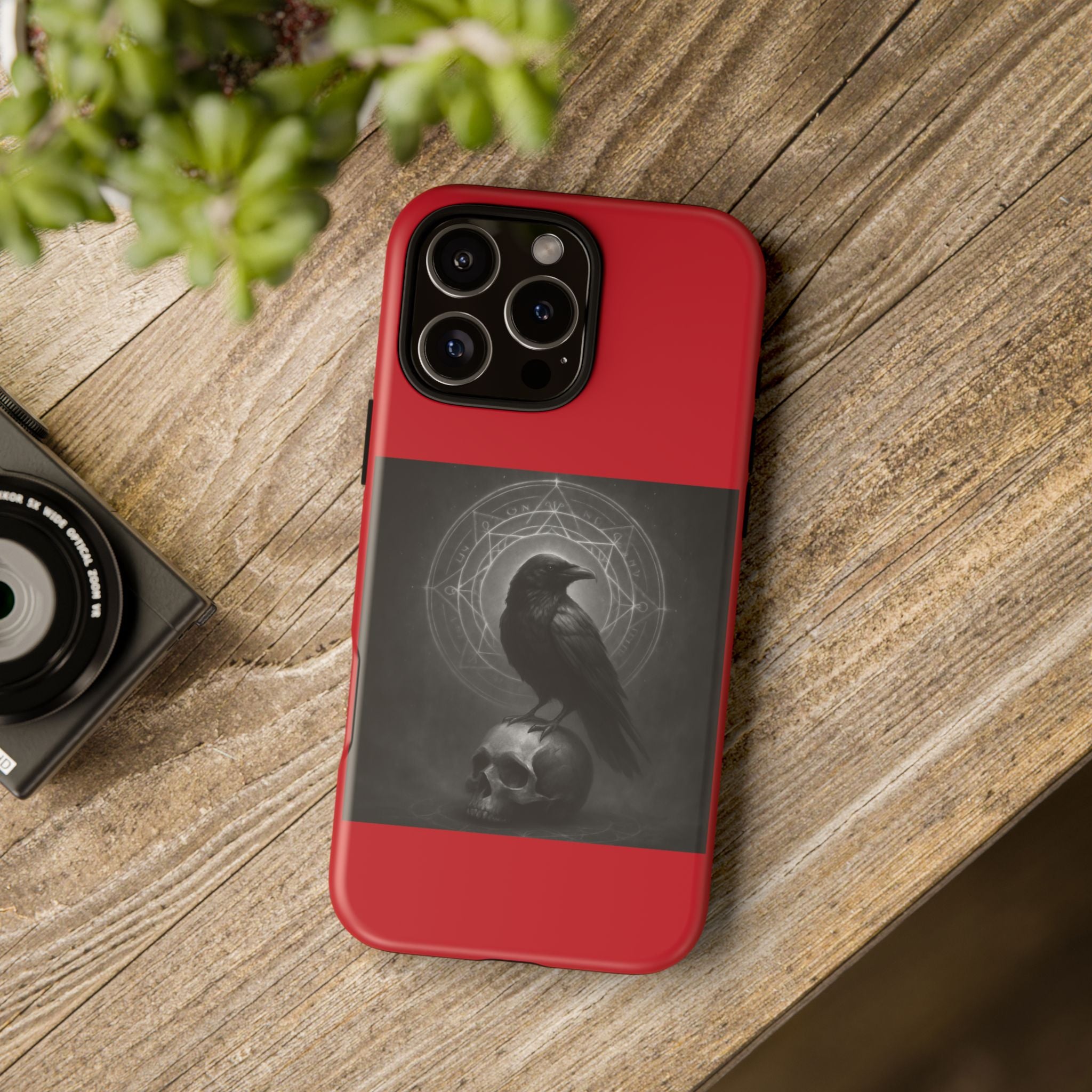 Occult Raven Sigil & Skull Art Cases