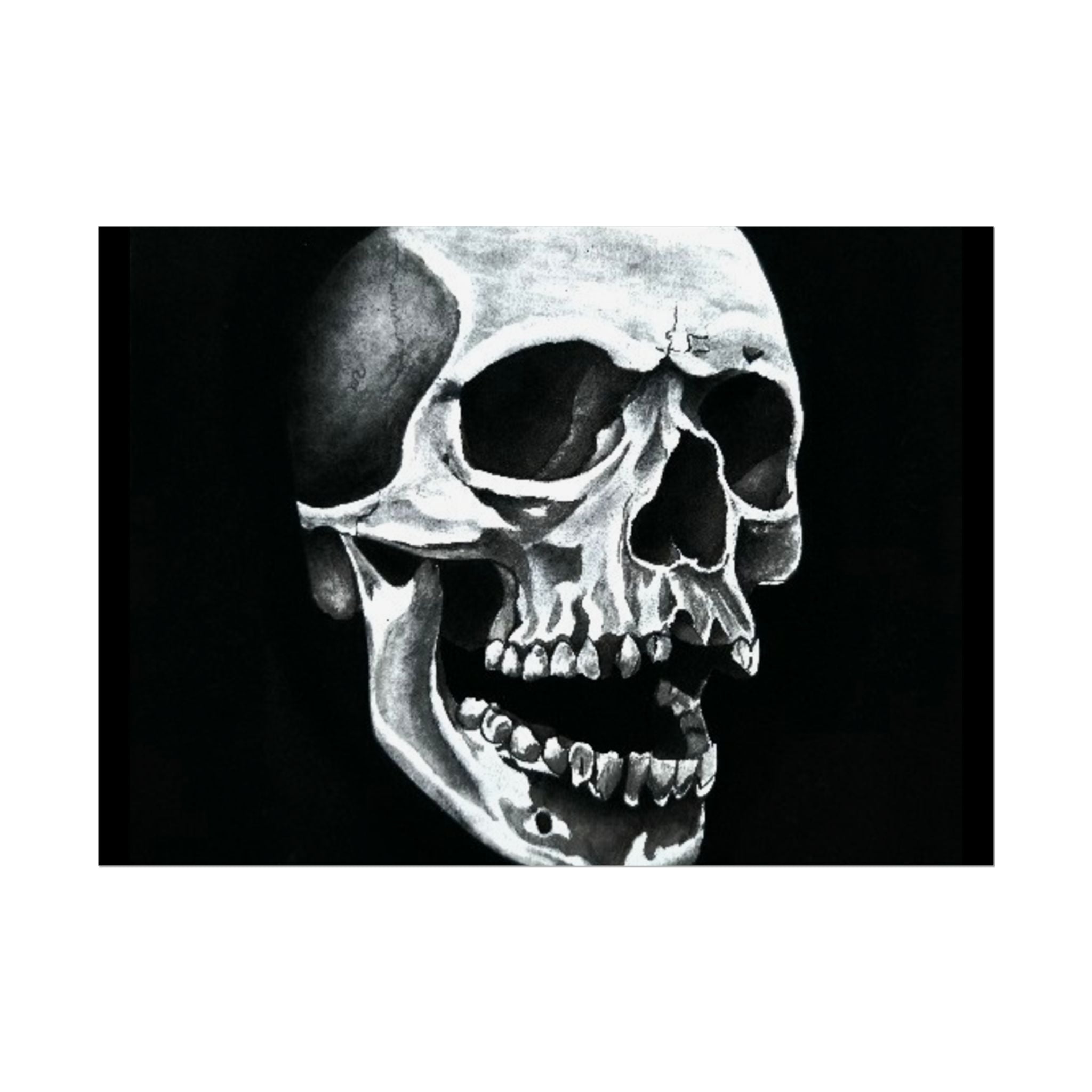 Skull Art Rolled Posters