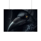 Dark Raven Hooded Rolled Poster