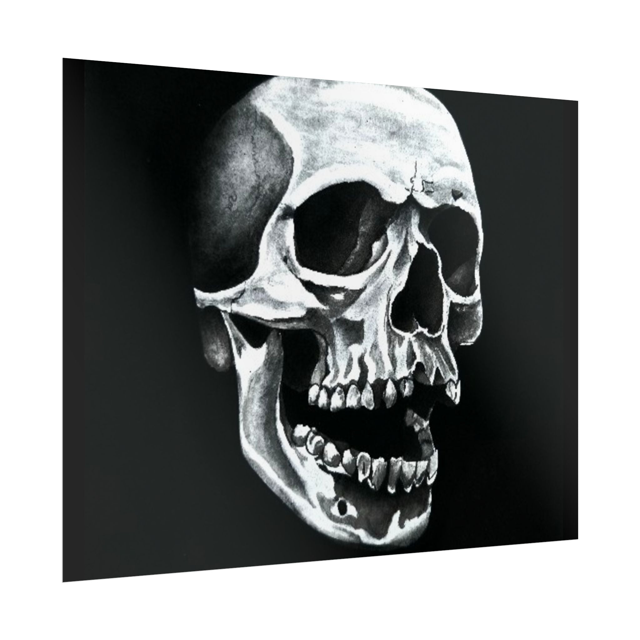 Skull Art Rolled Posters
