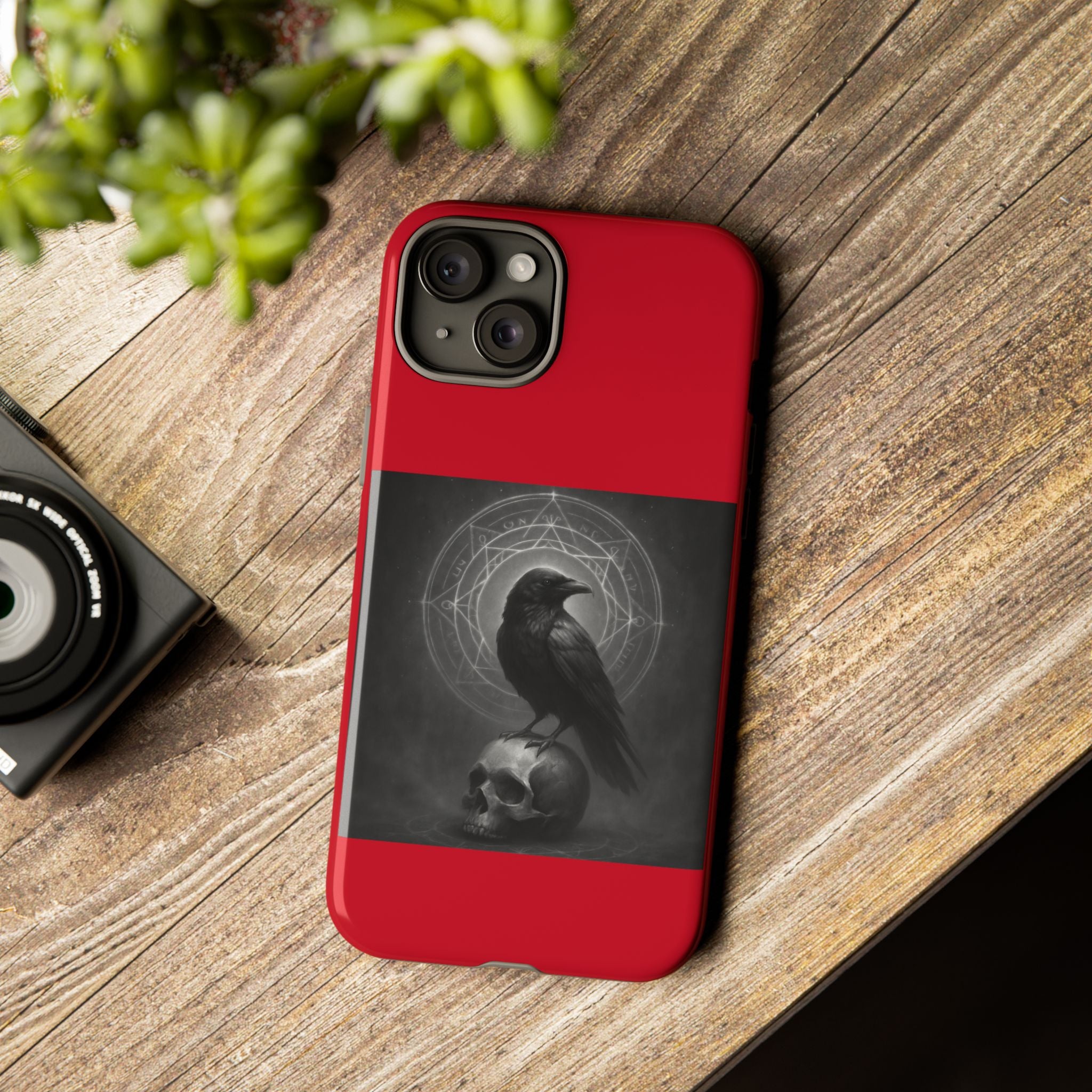 Occult Raven Sigil & Skull Art Cases