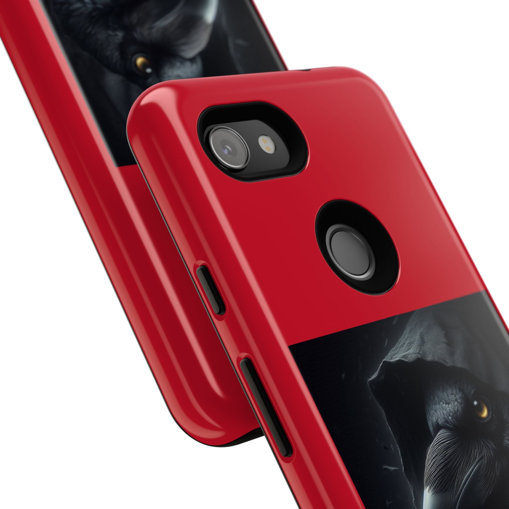 The Raven King Cases