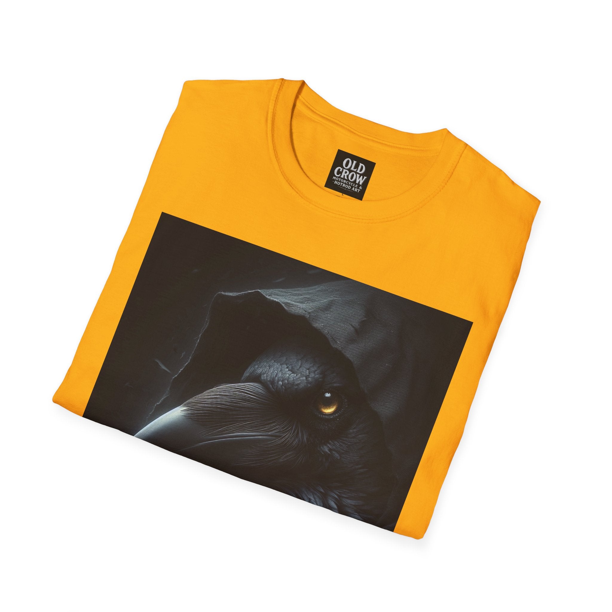 Mystical Crow in Hood T-Shirt