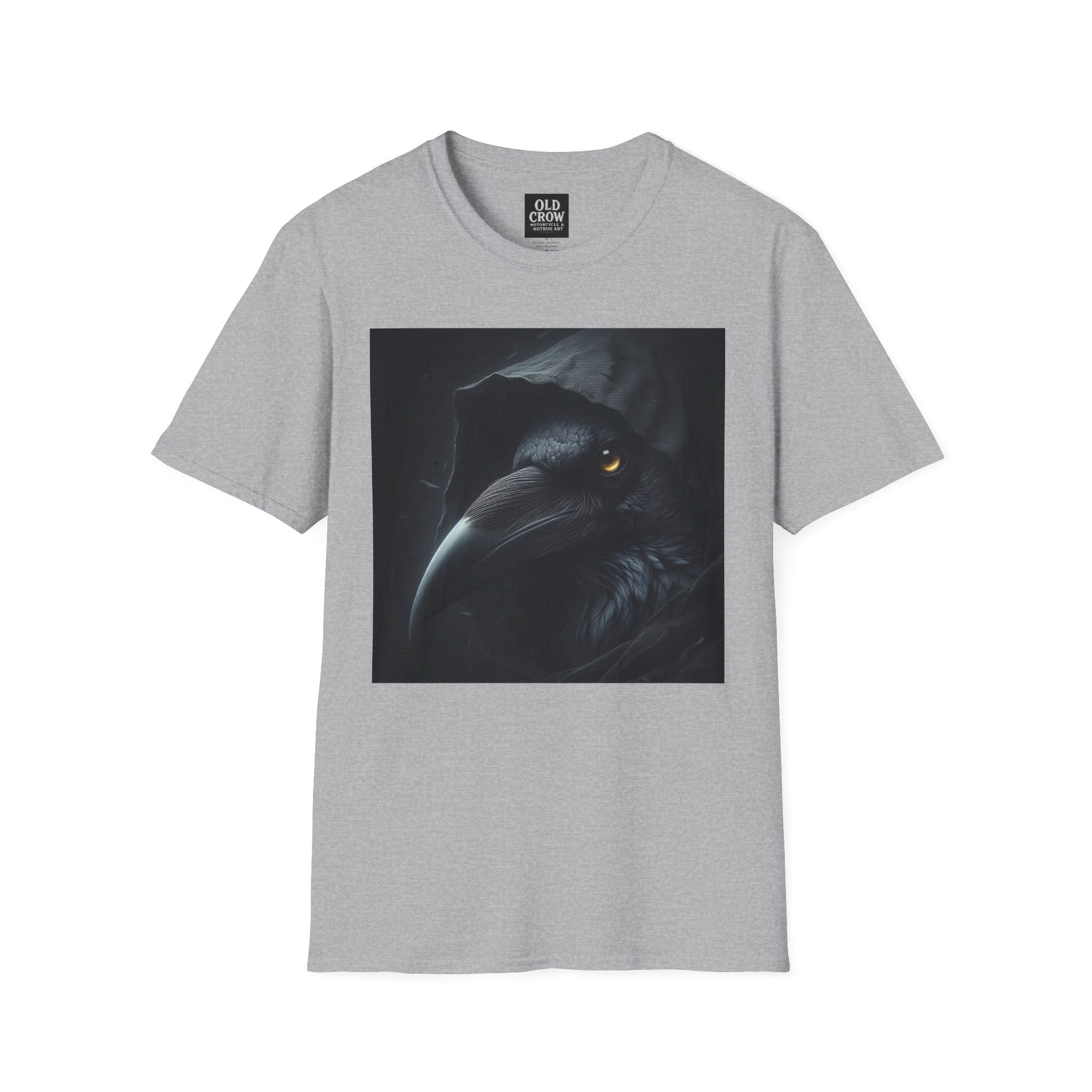 Mystical Crow in Hood T-Shirt