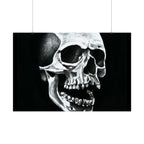 Skull Art Rolled Posters
