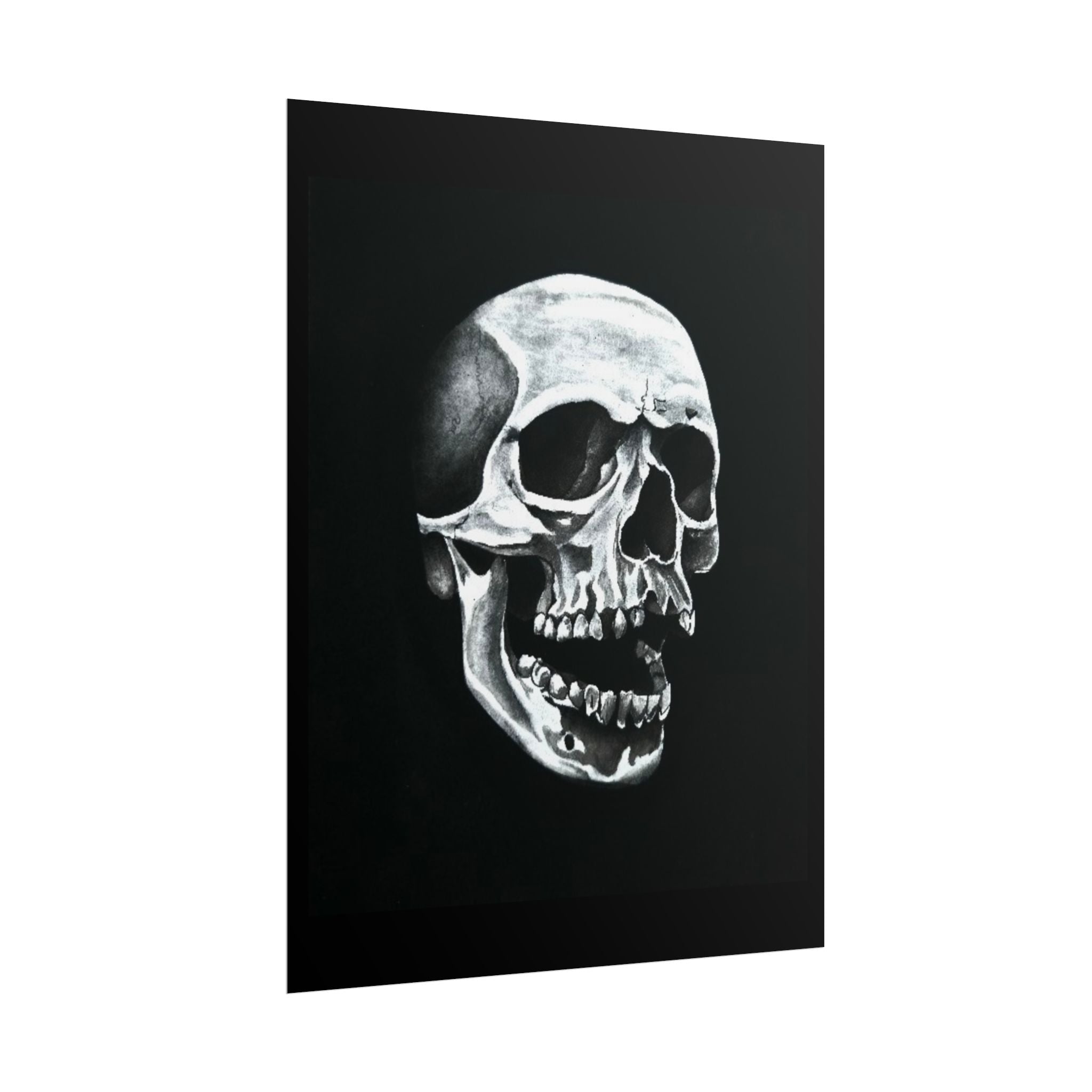 Skull Art Rolled Posters