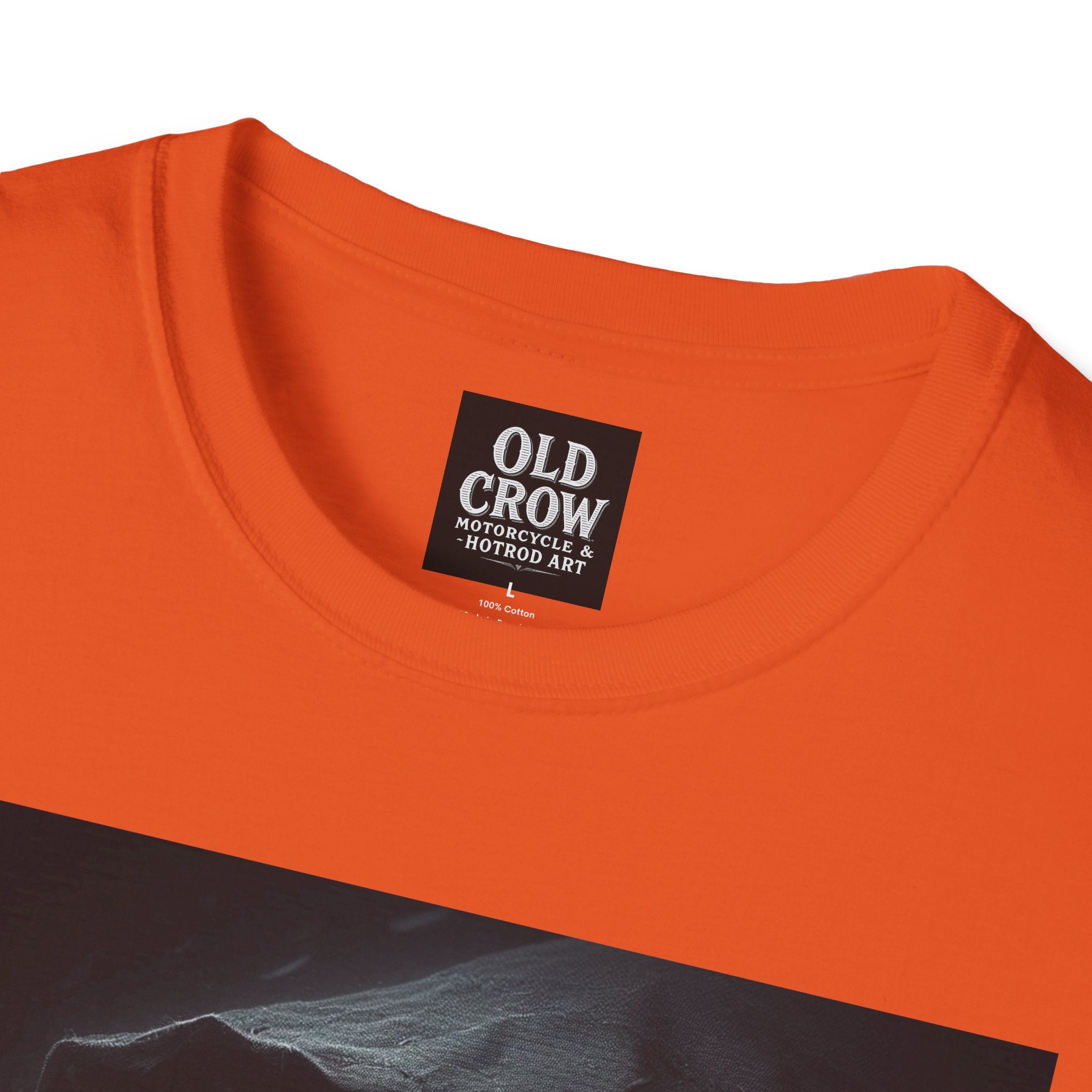 Mystical Crow in Hood T-Shirt