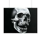 Skull Art Rolled Posters