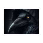 Dark Raven Hooded Rolled Poster