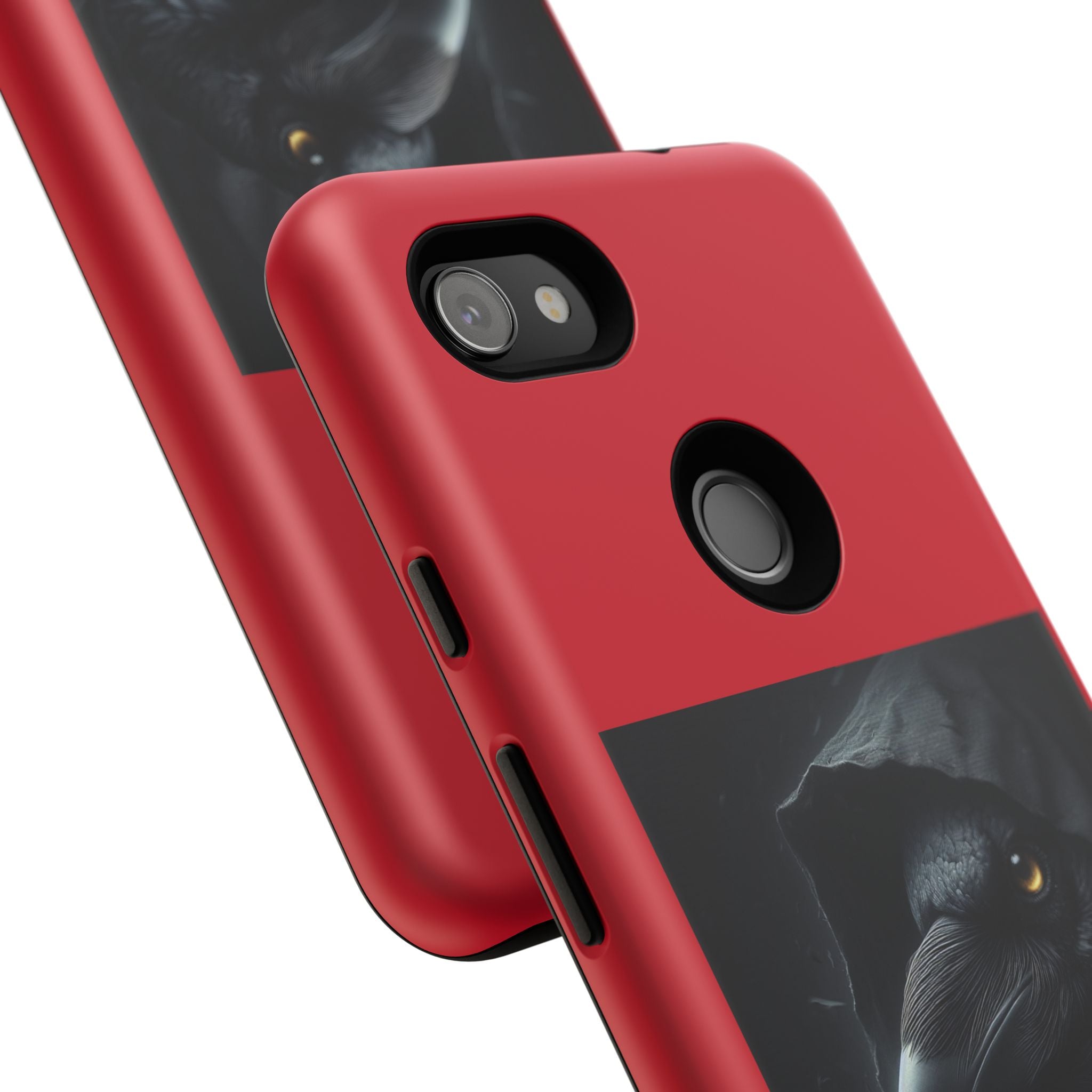 The Raven King Cases