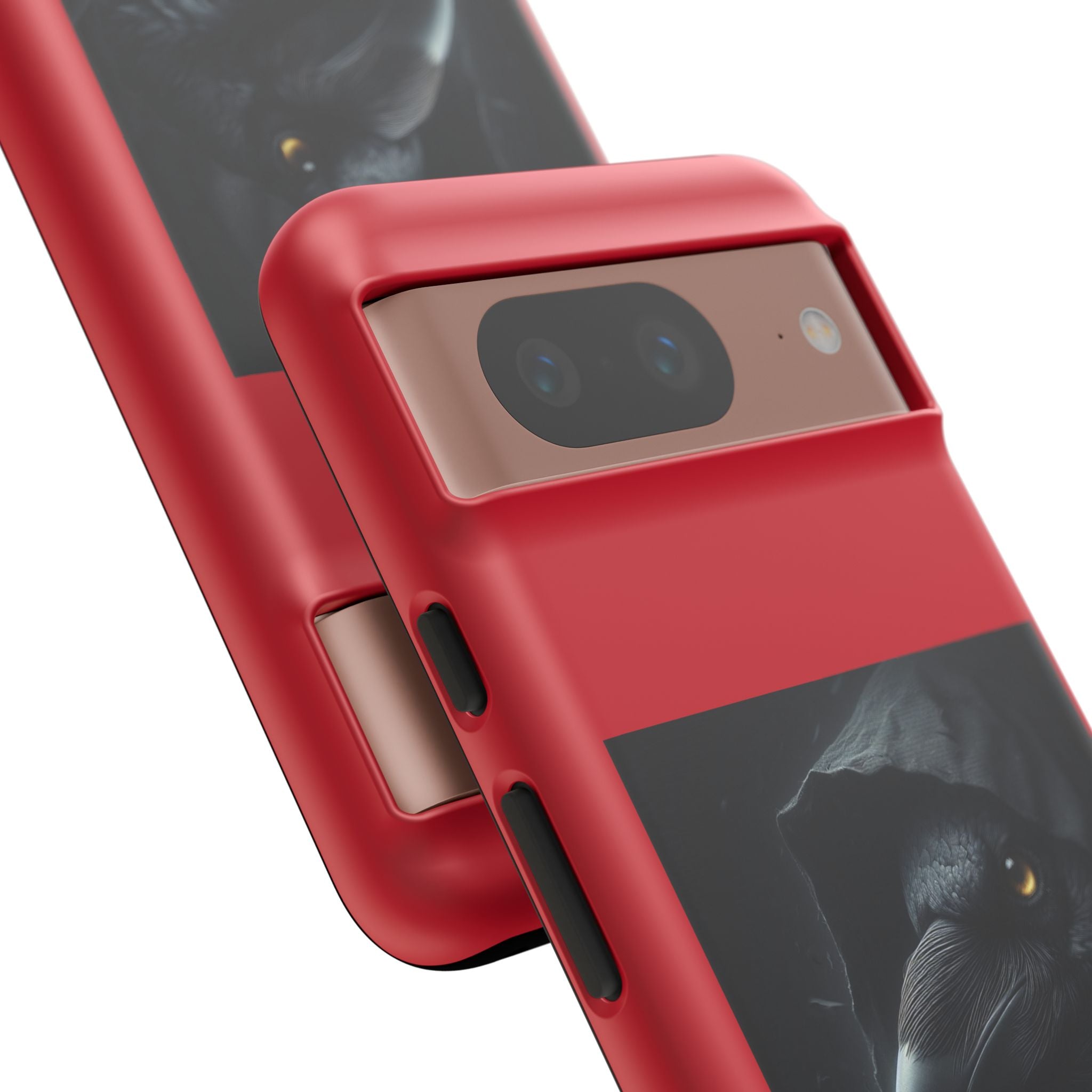 The Raven King Cases