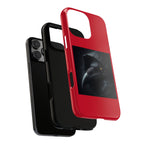 The Raven King Cases