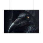 Dark Raven Hooded Rolled Poster