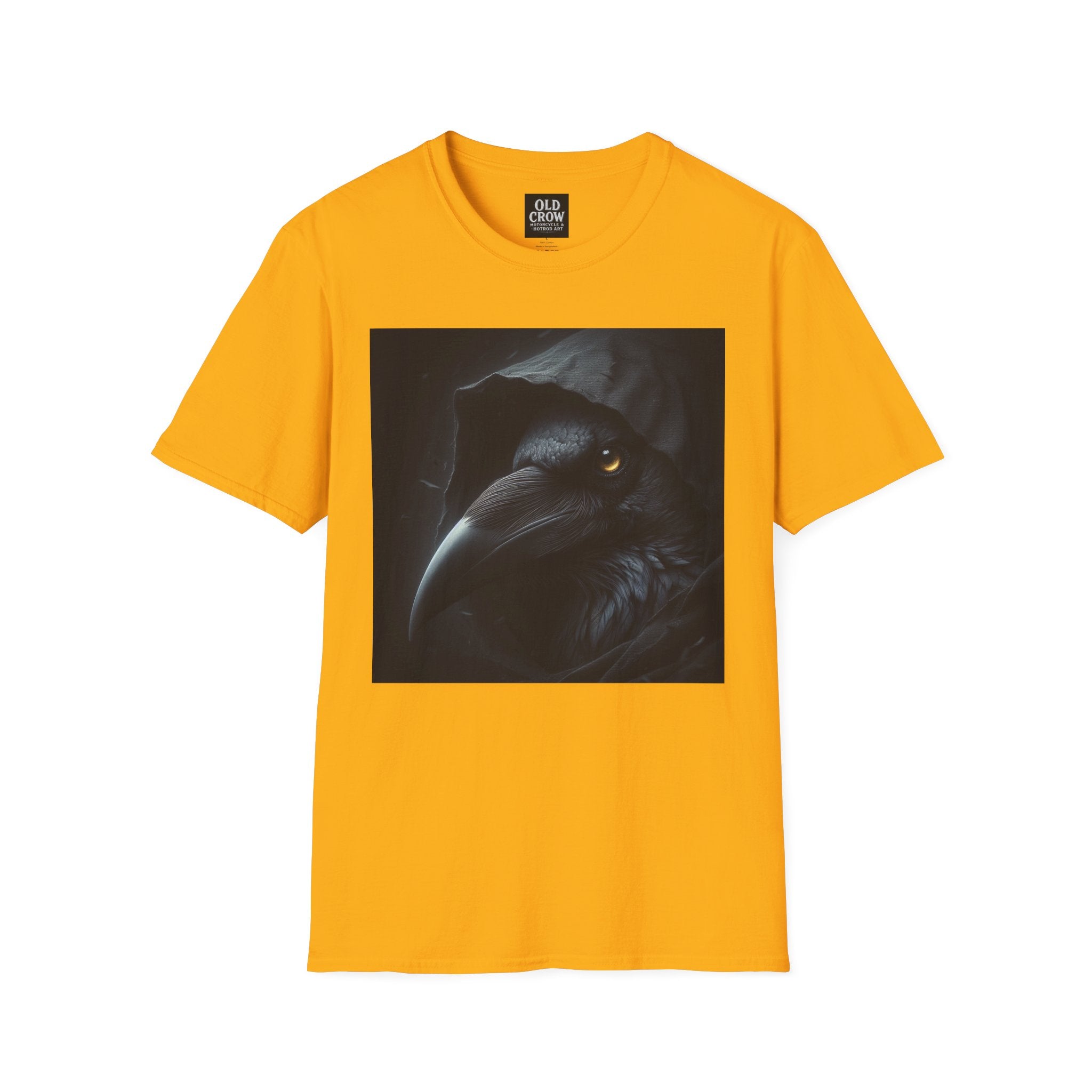 Mystical Crow in Hood T-Shirt