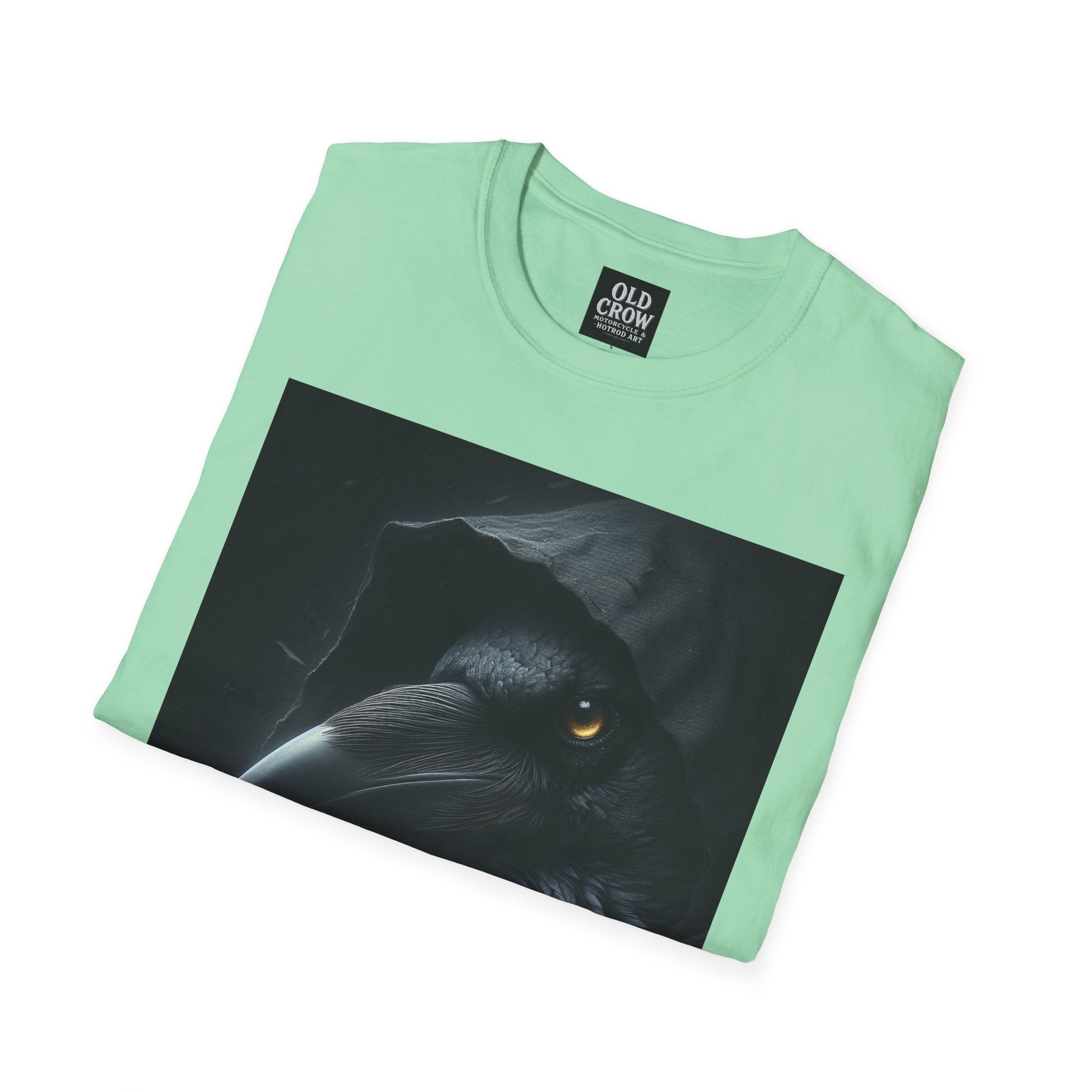 Mystical Crow in Hood T-Shirt