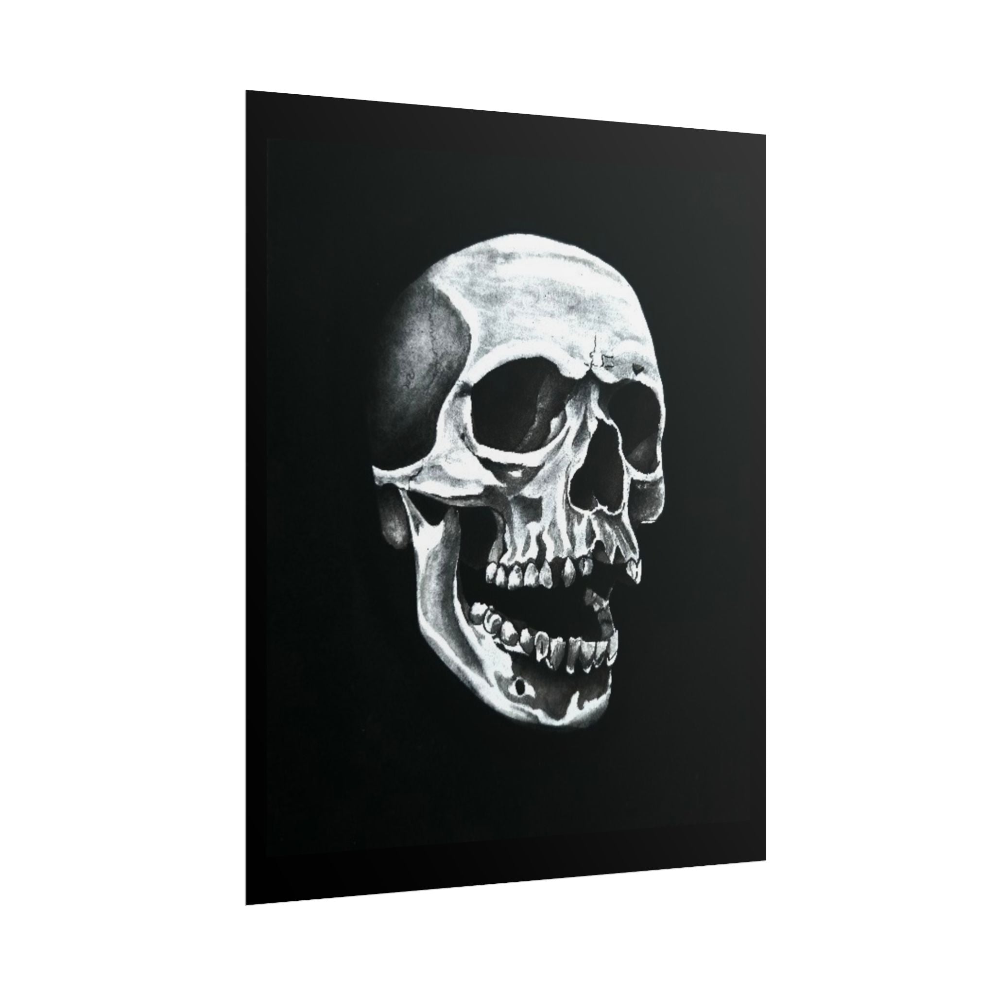 Skull Art Rolled Posters