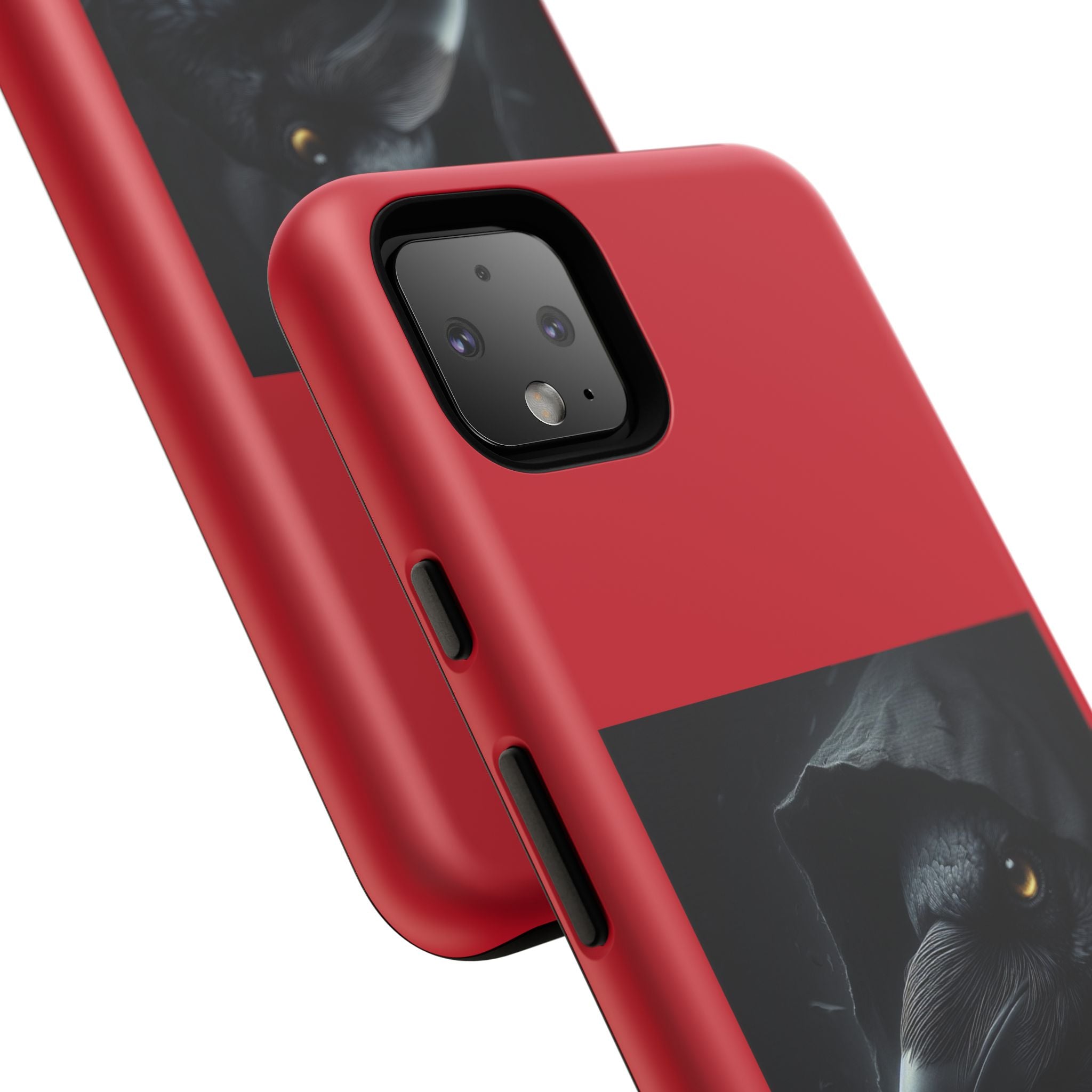 The Raven King Cases