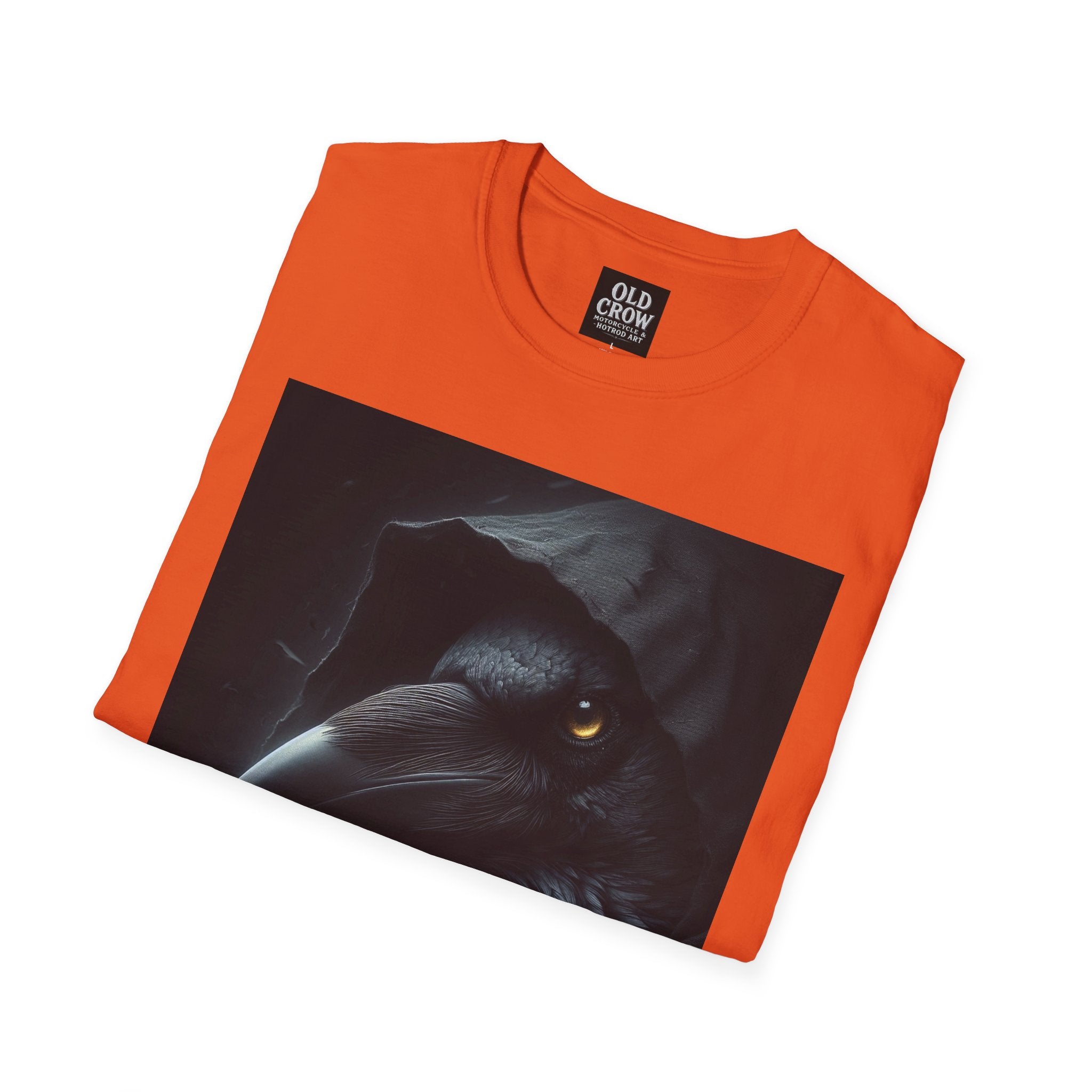 Mystical Crow in Hood T-Shirt