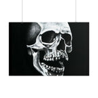 Skull Art Rolled Posters