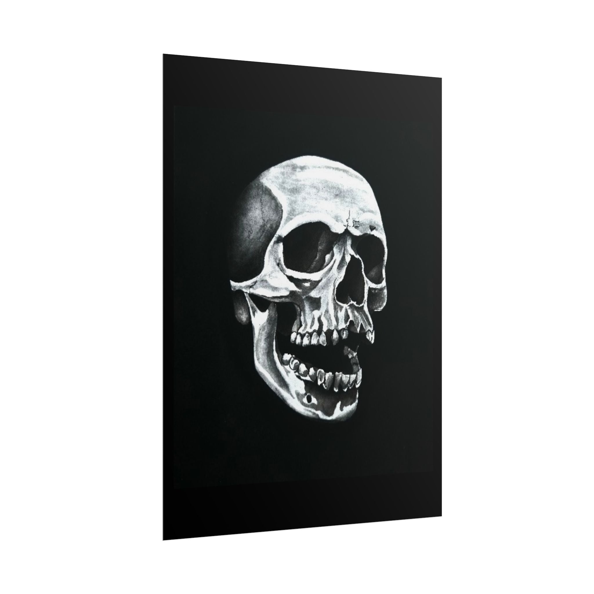 Skull Art Rolled Posters